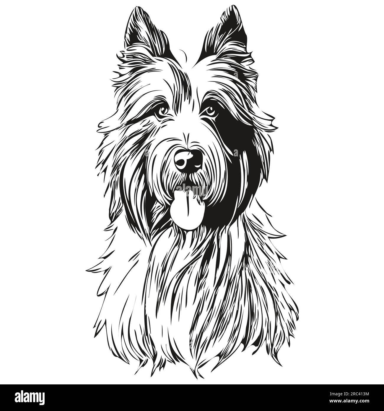 Dessin au trait de race de chien Collie barbu, dessin à la main animal clip art dessin à la main dessin noir et blanc Illustration de Vecteur