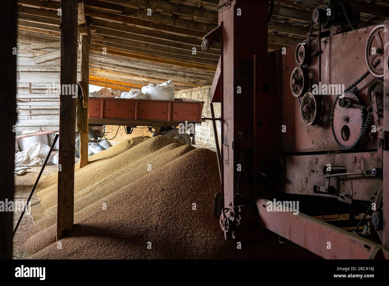 Piles et sacs de grains de soja séchant à l'entrepôt de moulin ou élévateur de grain. Le principal groupe de produits sur les marchés alimentaires. Quelque part dans la région de Lviv Banque D'Images