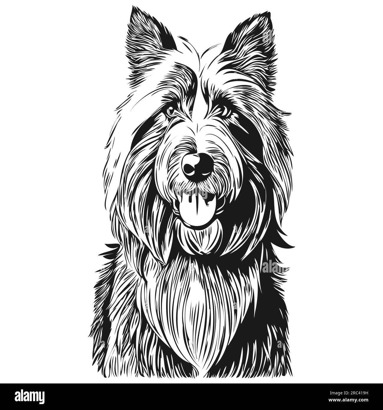 Dessin au trait de race de chien Collie barbu, clip art animal dessin à la main vecteur noir et blanc prêt t-shirt imprimé Illustration de Vecteur
