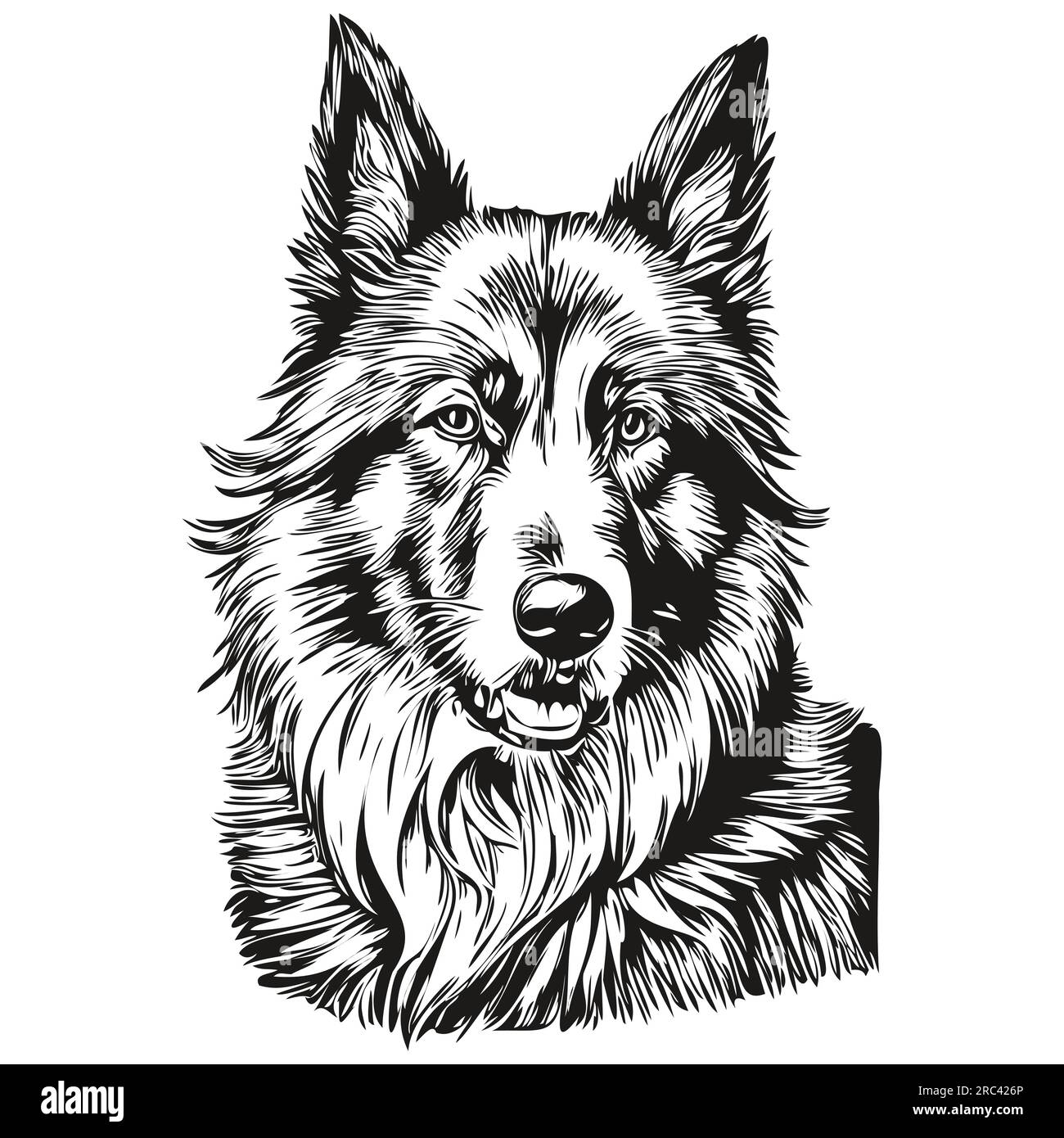 Dessin au trait de race de chien belge Tervuren, clip art animal dessin à la main vecteur noir et blanc Illustration de Vecteur
