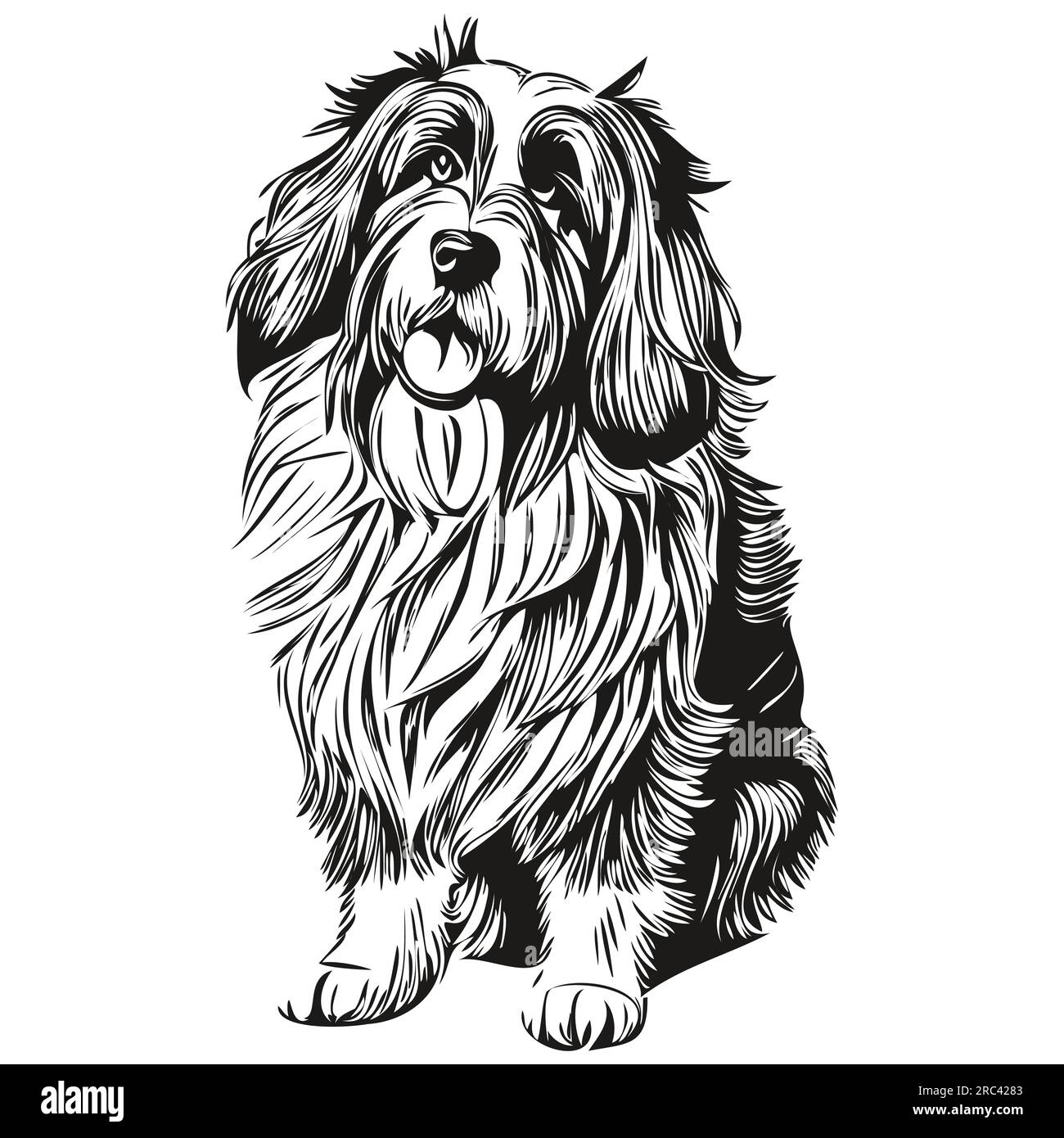 Dessin au trait de race de chien Barbared Collie, clip art animal dessin à la main vecteur noir et blanc silhouette réaliste d'animal de compagnie Illustration de Vecteur