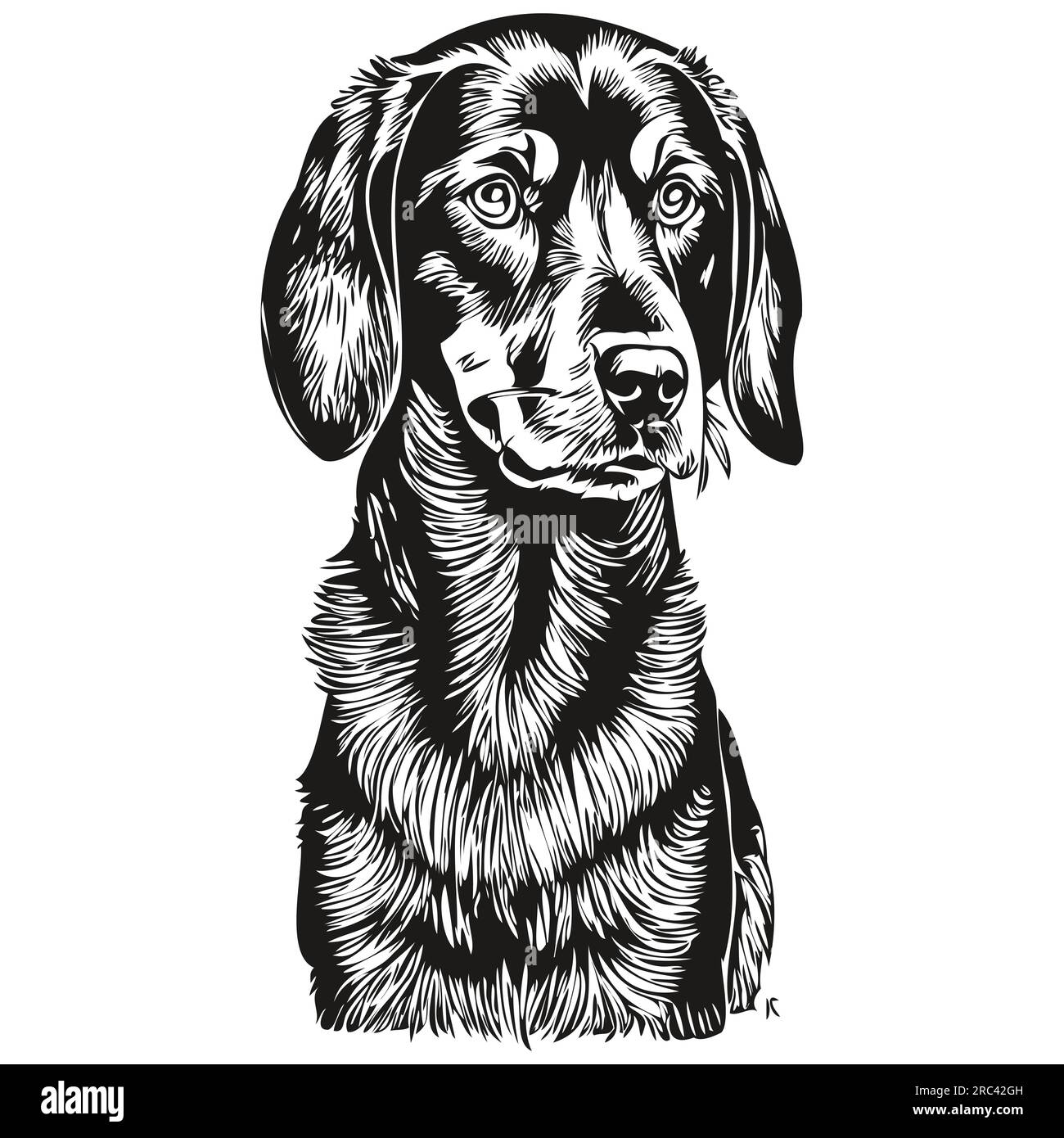 Silhouette d'animal de compagnie de chien Coonhound noir et tan, illustration de ligne d'animal dessiné à la main dessin vectoriel noir et blanc Illustration de Vecteur