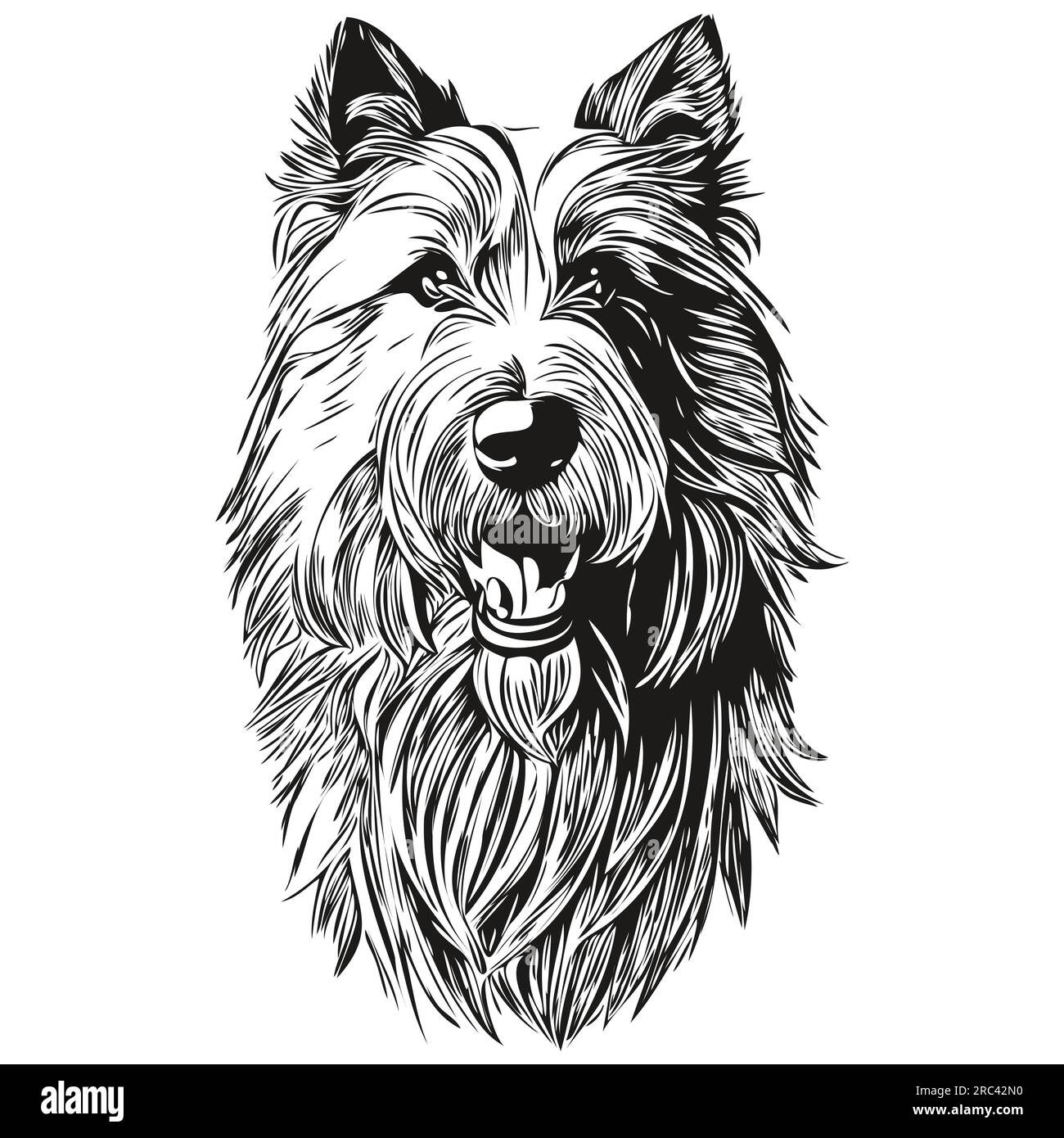 Illustration de dessin au crayon de contour de chien barbu Collie, caractère noir sur fond blanc prêt t-shirt imprimé Illustration de Vecteur