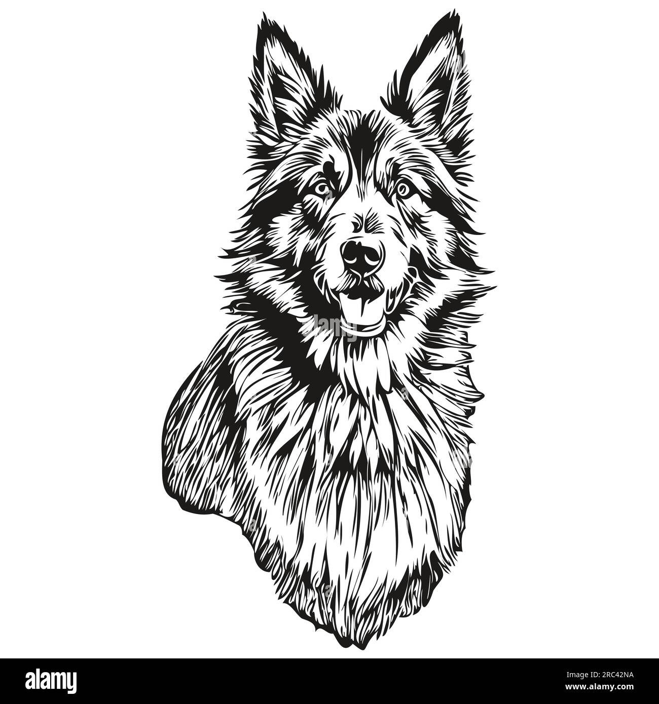 Dessin au trait de race de chien belge Tervuren, dessin à la main animal clip art dessin à la main dessin noir et blanc Illustration de Vecteur