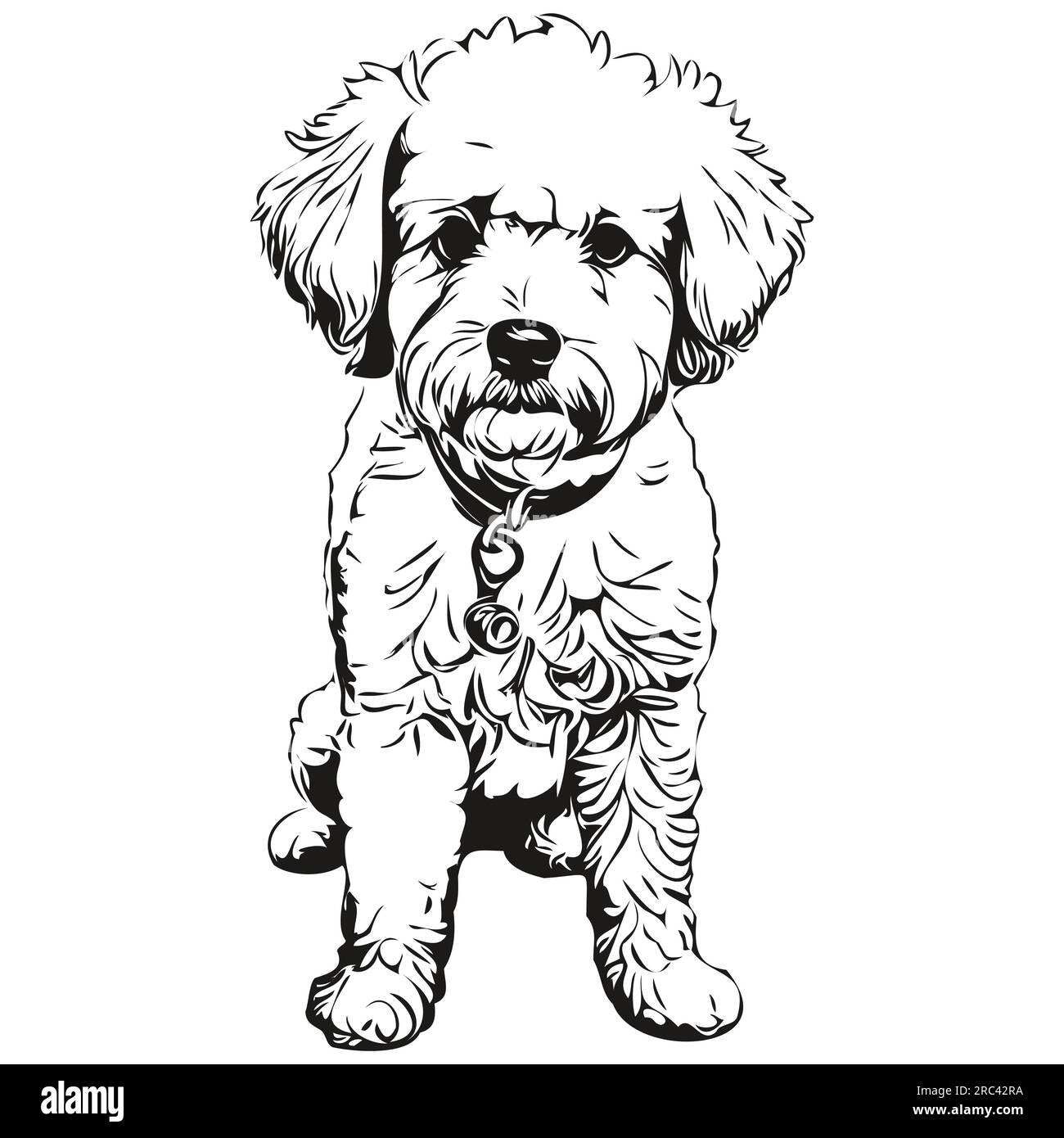 Bichons frise chien dessin au trait, clip art animal dessin à la main vecteur noir et blanc Illustration de Vecteur