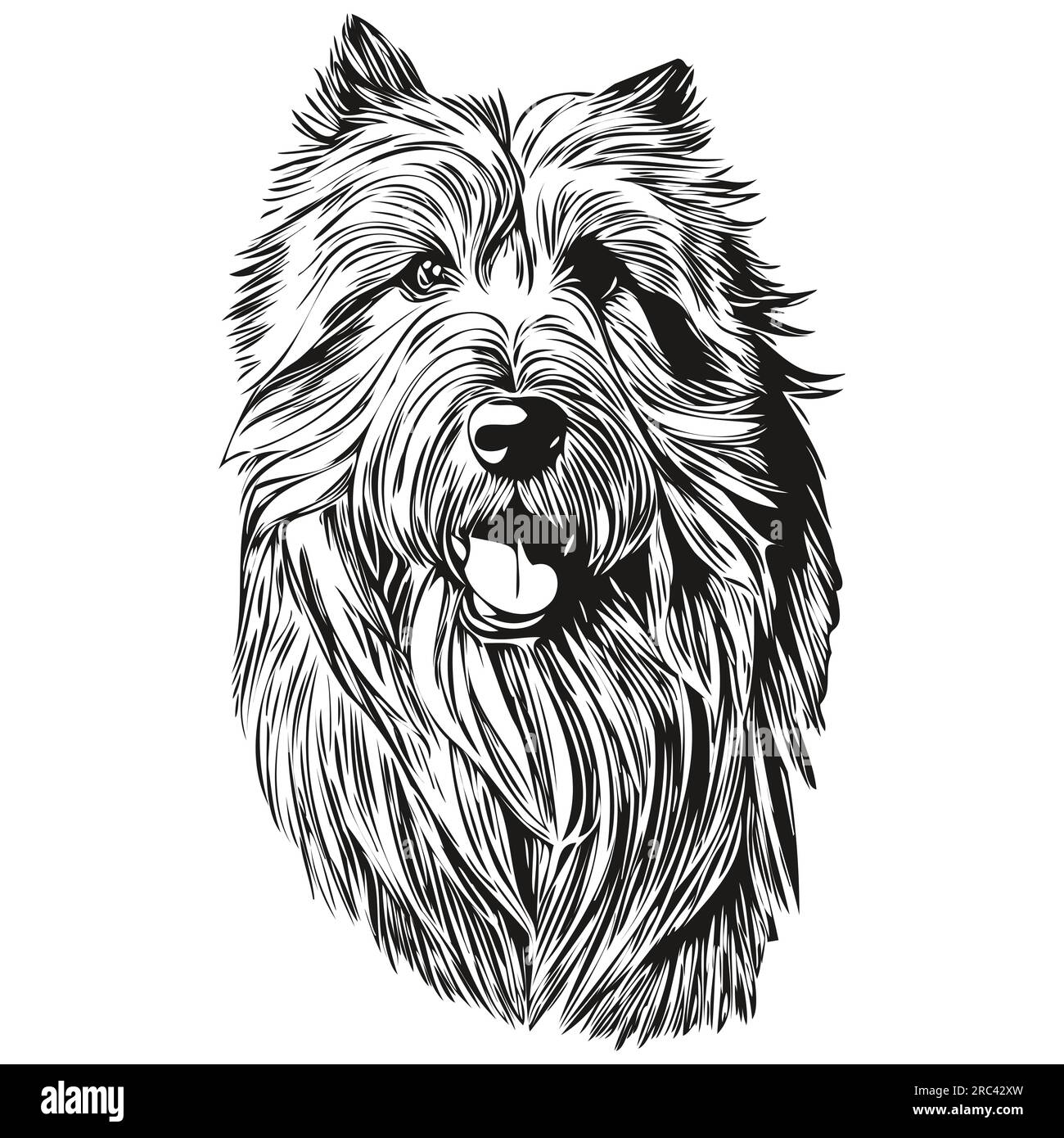 Silhouette d'animal de compagnie de chien Collie barbu, illustration de ligne d'animal dessiné à la main dessin de dessin vectoriel noir et blanc Illustration de Vecteur