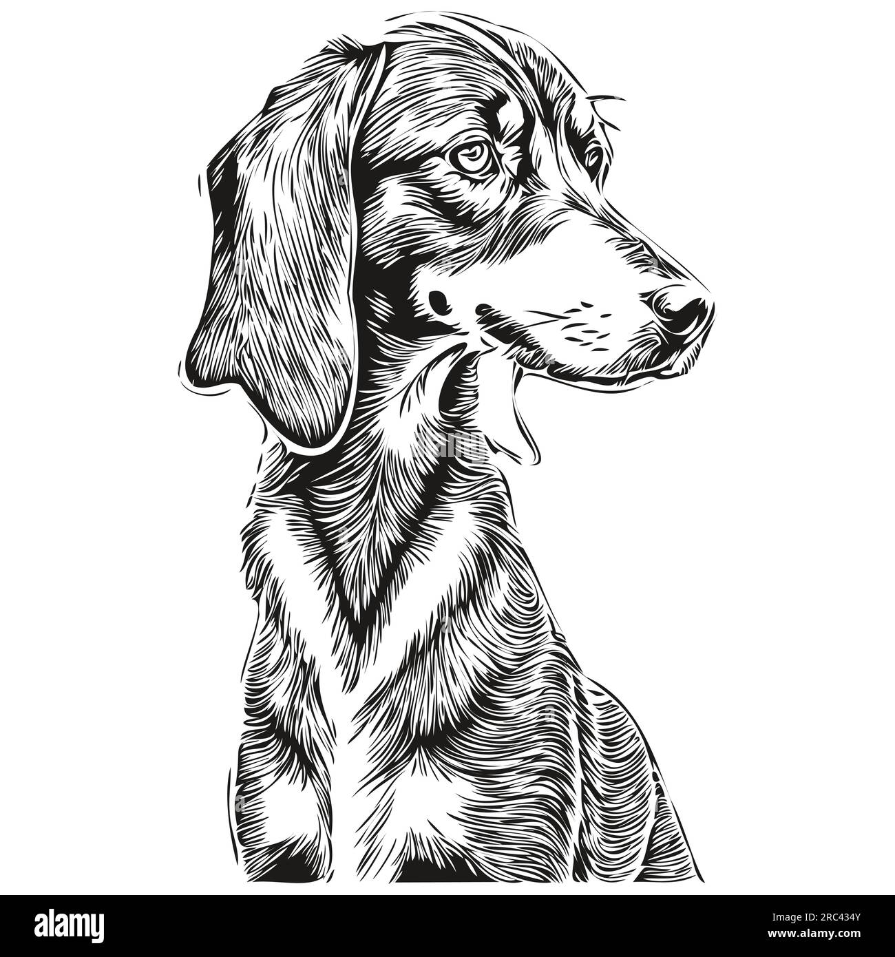 Dessin au trait de race de chien noir et tan Coonhound, clip art animal dessin à la main vecteur noir et blanc silhouette réaliste d'animal de compagnie Illustration de Vecteur