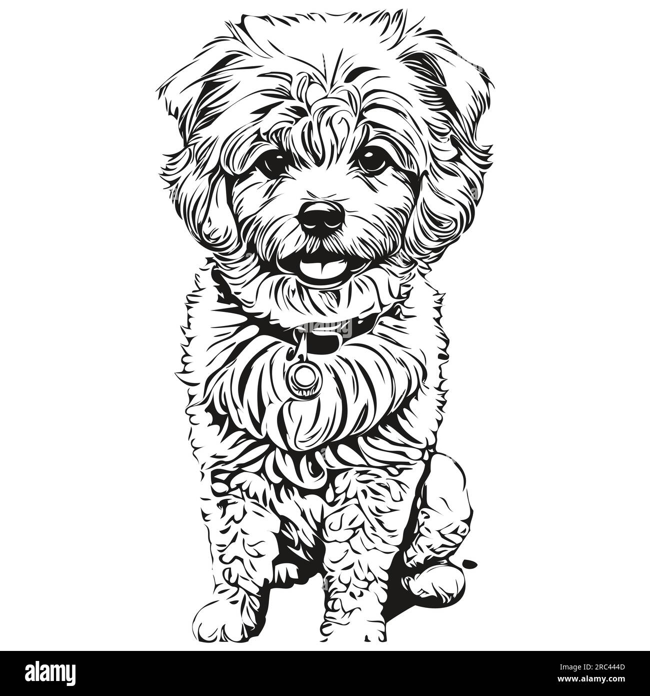 Bichons frise chien dessin au trait, clip art animal dessin à la main vecteur noir et blanc animal de compagnie réaliste de race Illustration de Vecteur