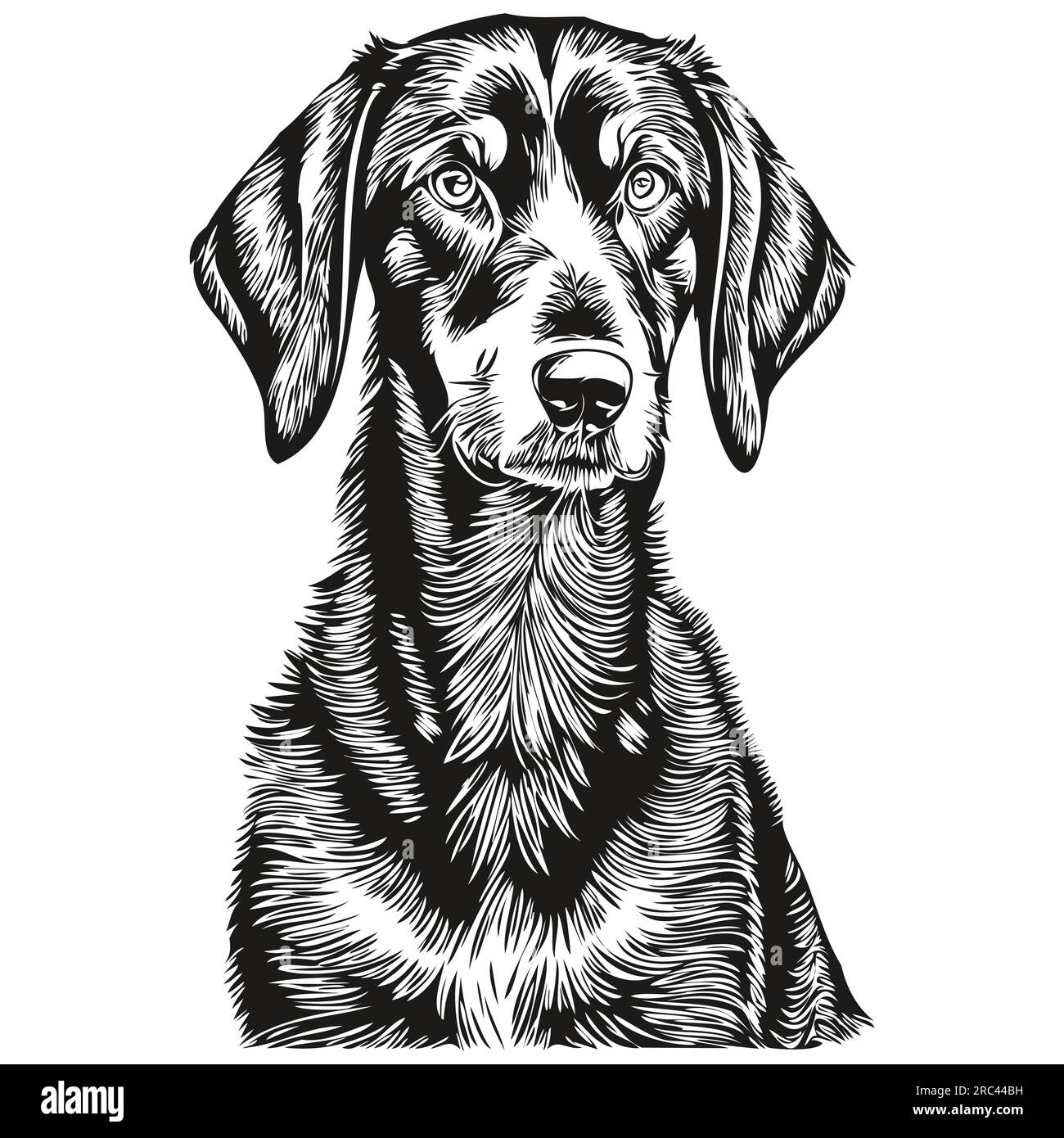 Dessin au trait de race de chien noir et tan Coonhound, dessin à la main d'animal clip art dessin à la main dessin noir et blanc Illustration de Vecteur