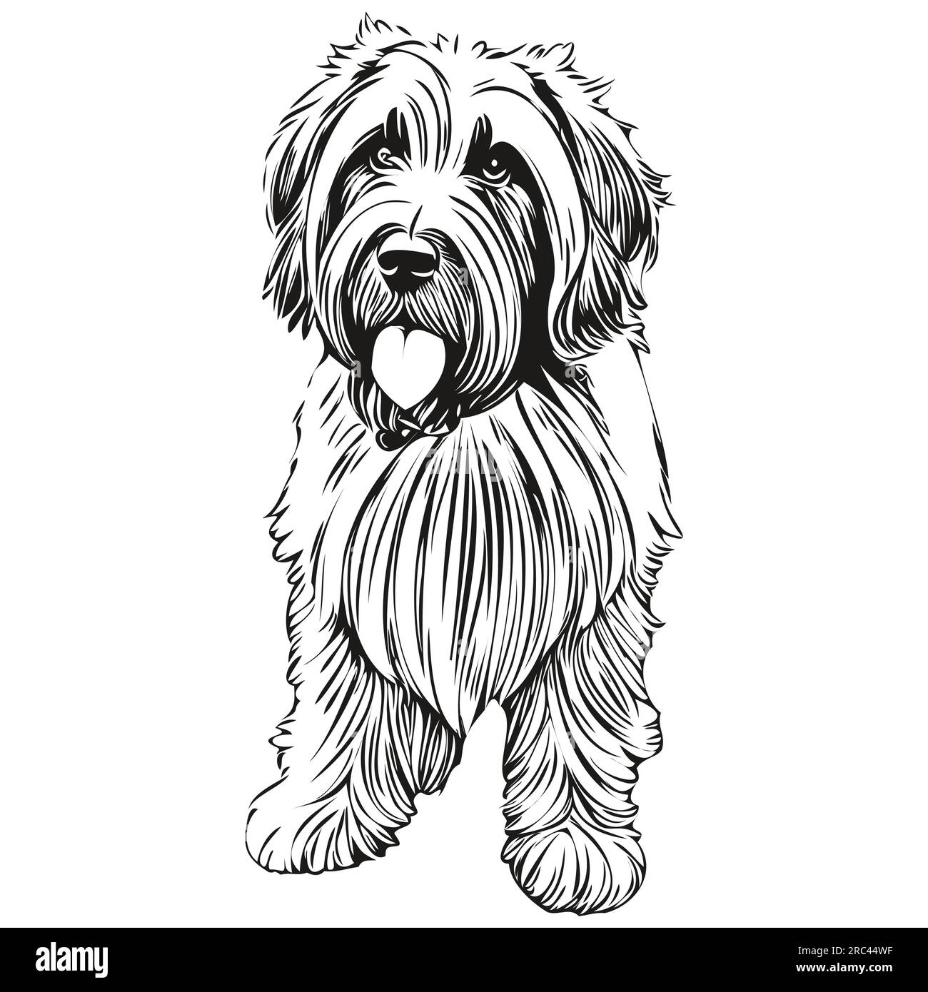 Dessin au trait de race de chien Briard, clip art animal dessin à la main vecteur noir et blanc animal de compagnie réaliste de race Illustration de Vecteur