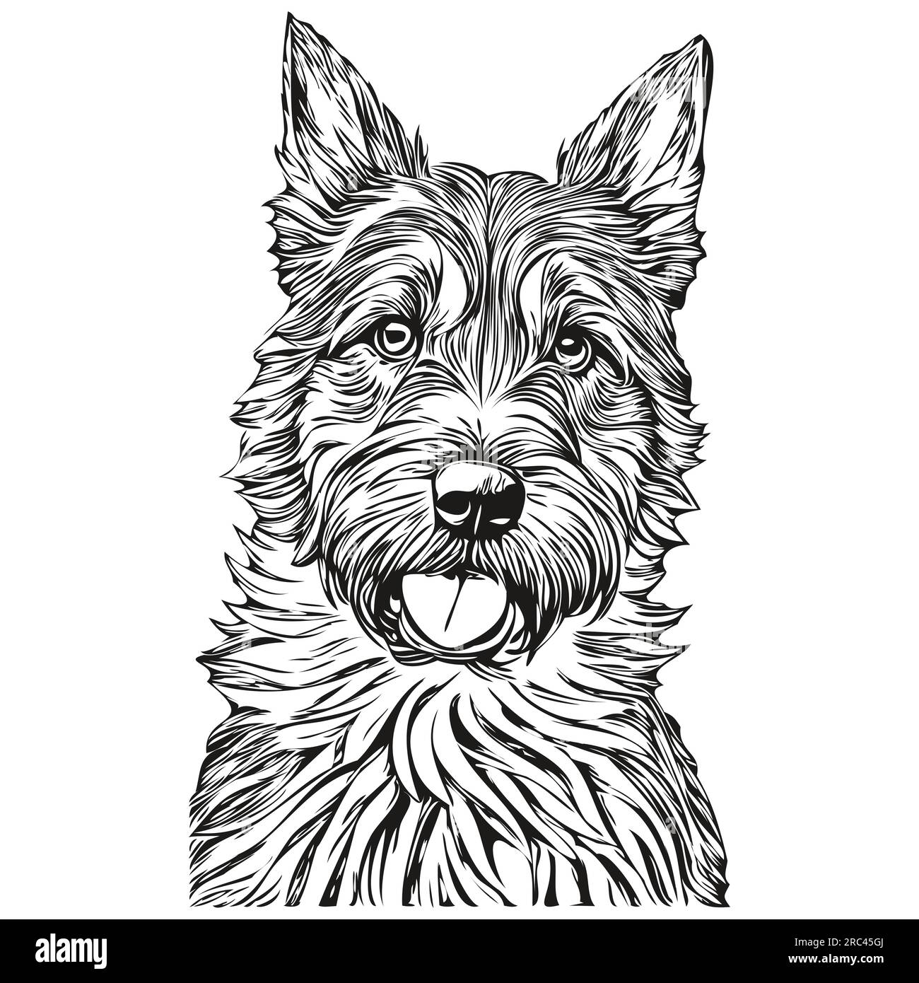 Border Terrier chien de race dessin au trait, clip art animal dessin à la main vecteur noir et blanc animal de compagnie réaliste de race Illustration de Vecteur