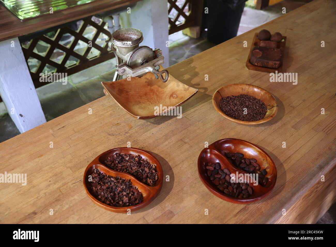 Etapes de processus de production de cacao. Broyeur manuel traditionnel de fèves de cacao et étapes de traitement des fèves. Banque D'Images