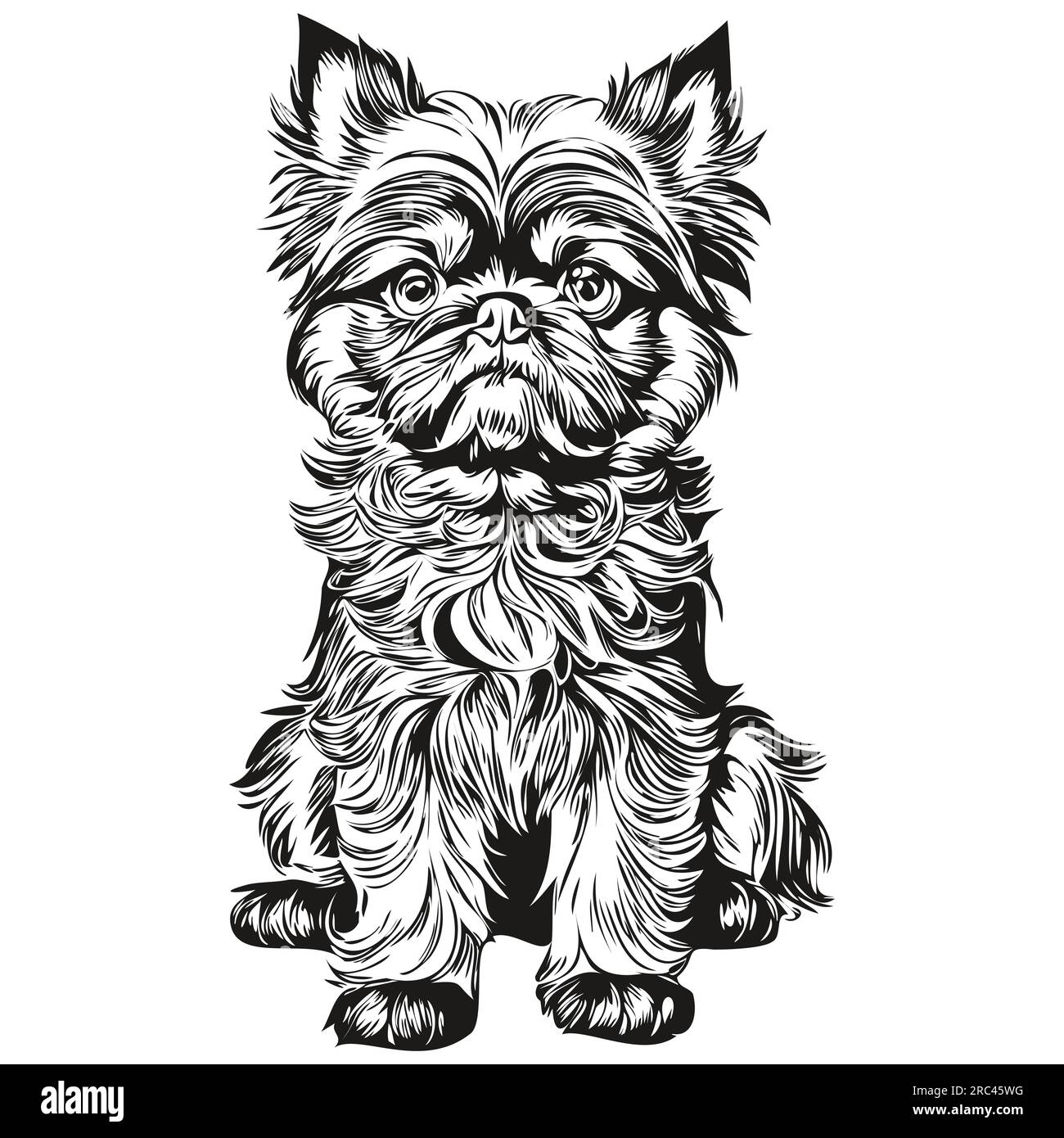 Silhouette d'animal de compagnie de chien de Bruxelles Griffon, illustration de ligne d'animal dessiné à la main dessin vectoriel noir et blanc Illustration de Vecteur