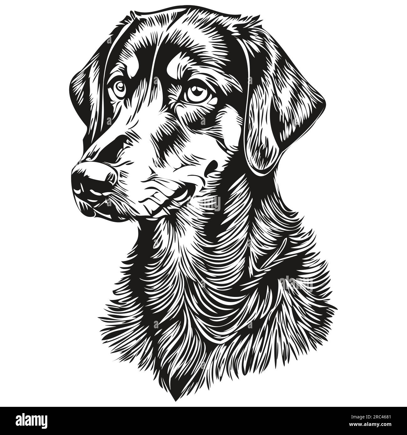 Silhouette d'animal de compagnie de chien Coonhound noir et tan, illustration de ligne d'animal dessiné à la main en noir et blanc vecteur Illustration de Vecteur