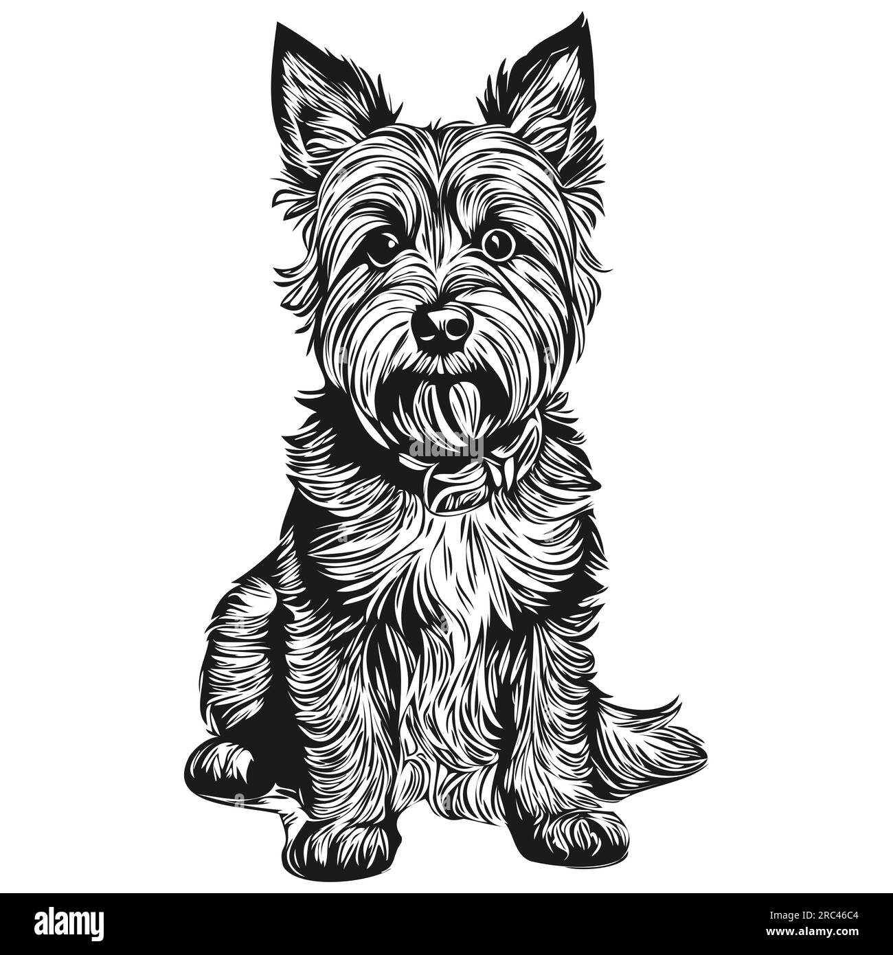 Border Terrier chien dessin animé portrait d'encre de visage, dessin d'esquisse noir et blanc, impression de tshirt Illustration de Vecteur