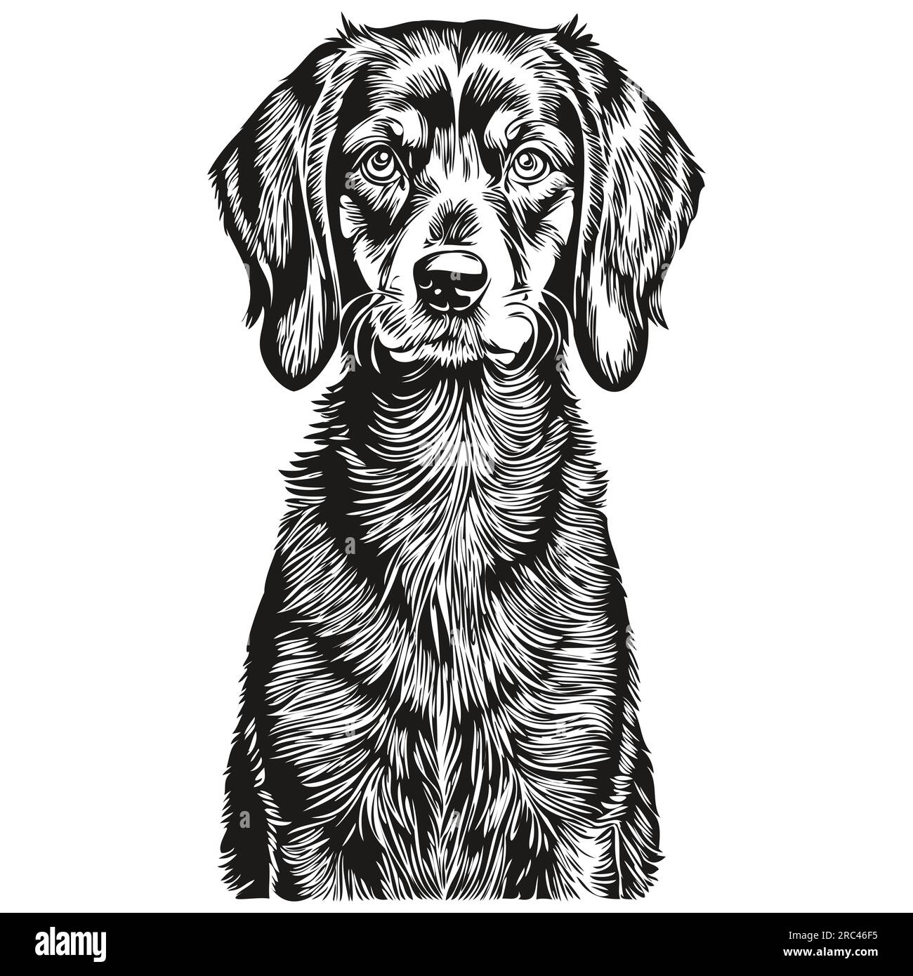 Black and Tan Coonhound chien illustration réaliste d'animal de compagnie, dessin à la main visage noir et blanc vecteur silhouette réaliste d'animal de compagnie Illustration de Vecteur