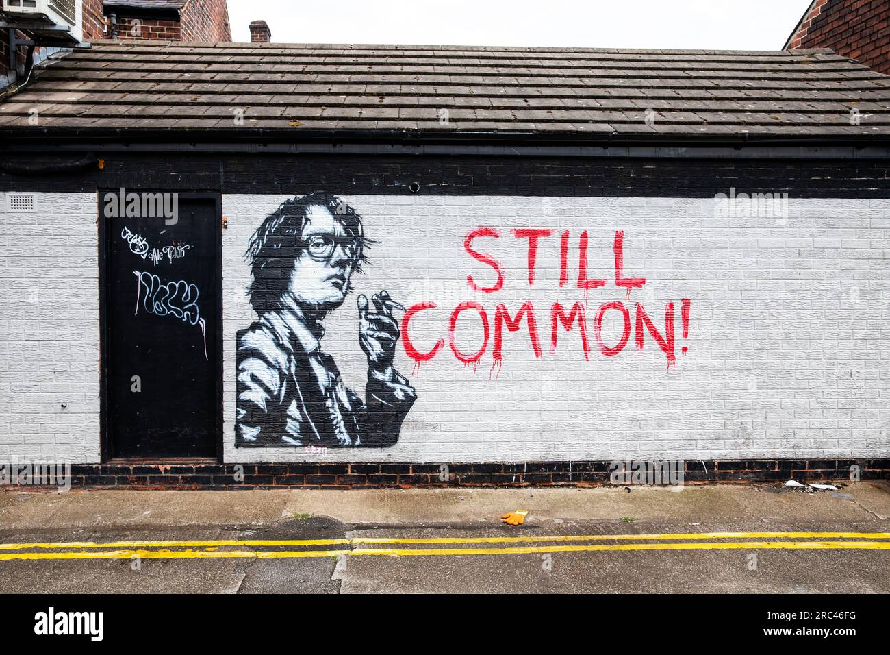 Murale de Jarvis Cocker le chanteur principal de Pulp, Ecclesall Road, Sheffield. Banque D'Images