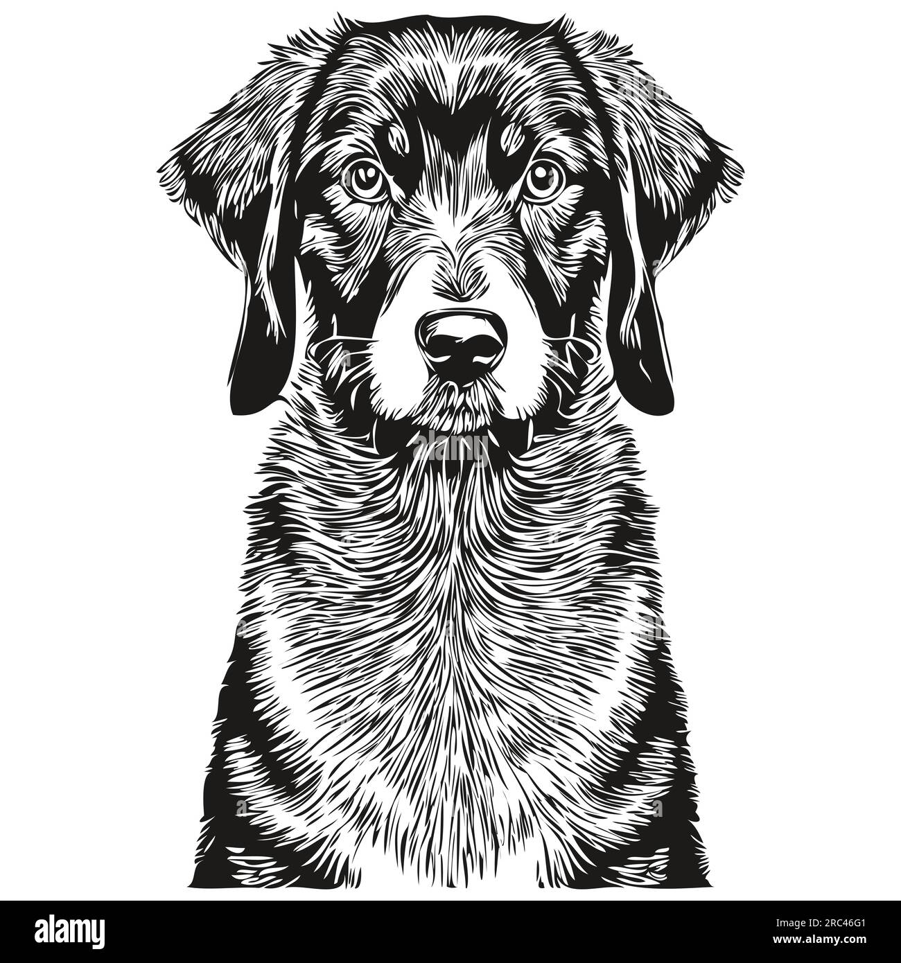 Silhouette d'animal de compagnie de chien noir et tan Coonhound, illustration de ligne d'animal dessiné à la main en noir et blanc vecteur silhouette réaliste d'animal de compagnie Illustration de Vecteur