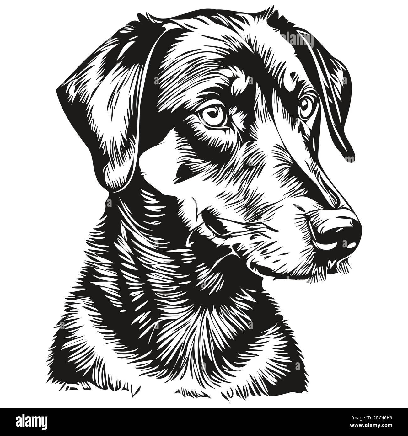 Black and Tan Coonhound chien illustration réaliste pour animaux de compagnie, dessin à la main visage dessin vectoriel noir et blanc Illustration de Vecteur