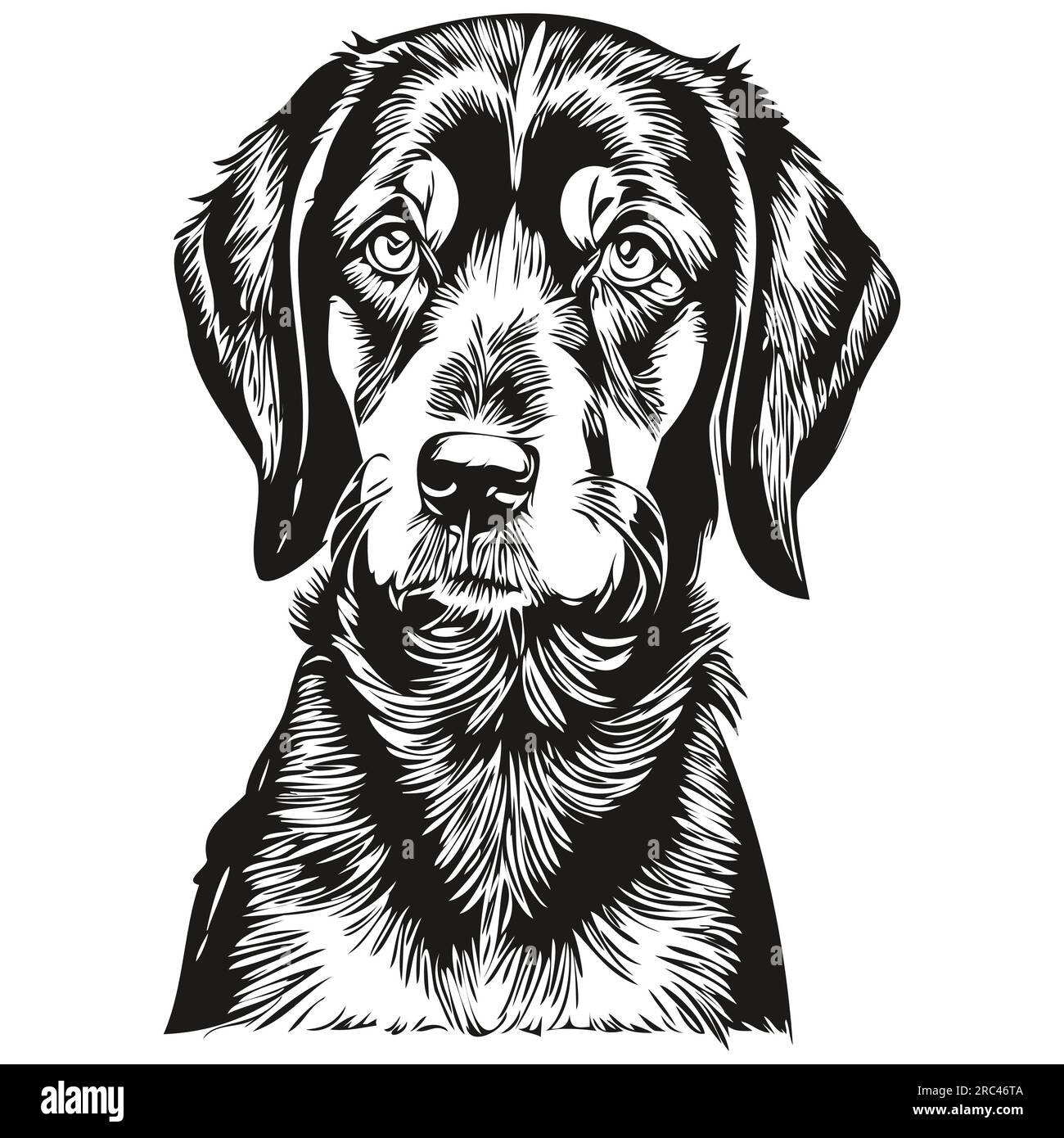 Noir et Tan Coonhound chien silhouette personnage d'animal de compagnie, clip art vecteur animaux dessin noir et blanc Illustration de Vecteur