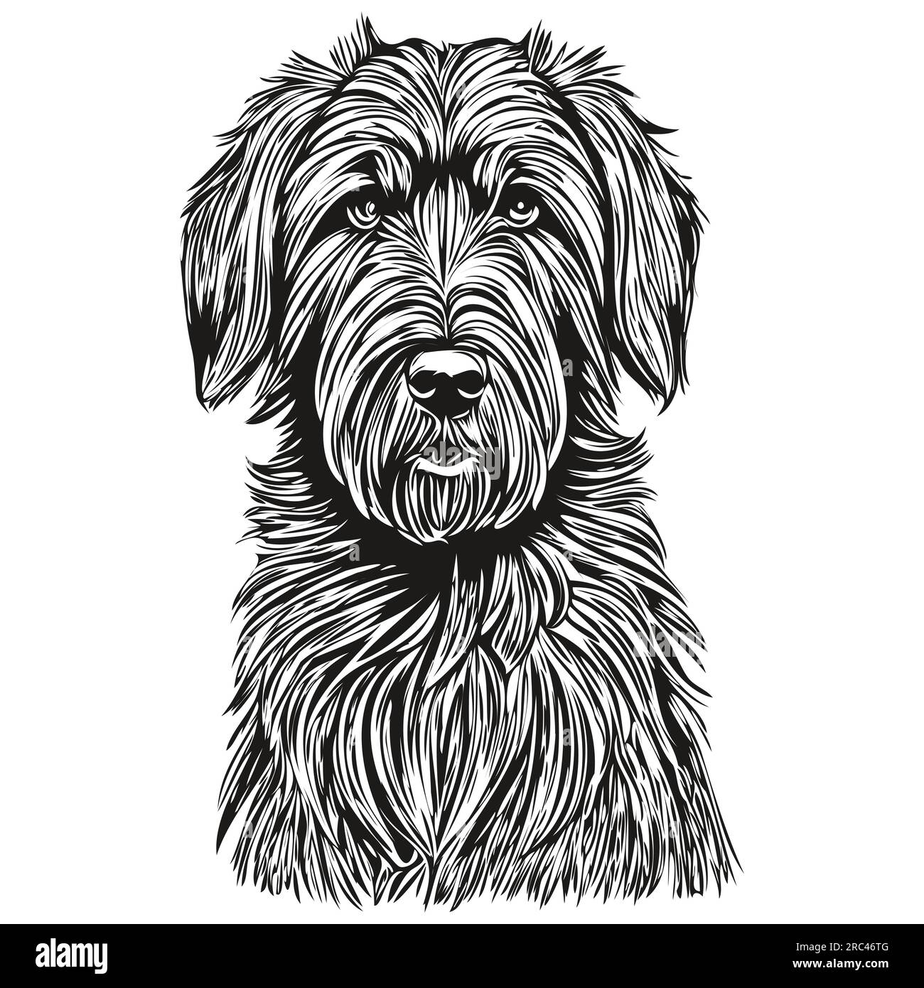 Silhouette d'animal de compagnie de chien Briard, illustration de ligne d'animal dessiné à la main en noir et blanc vecteur réaliste animal de compagnie Illustration de Vecteur