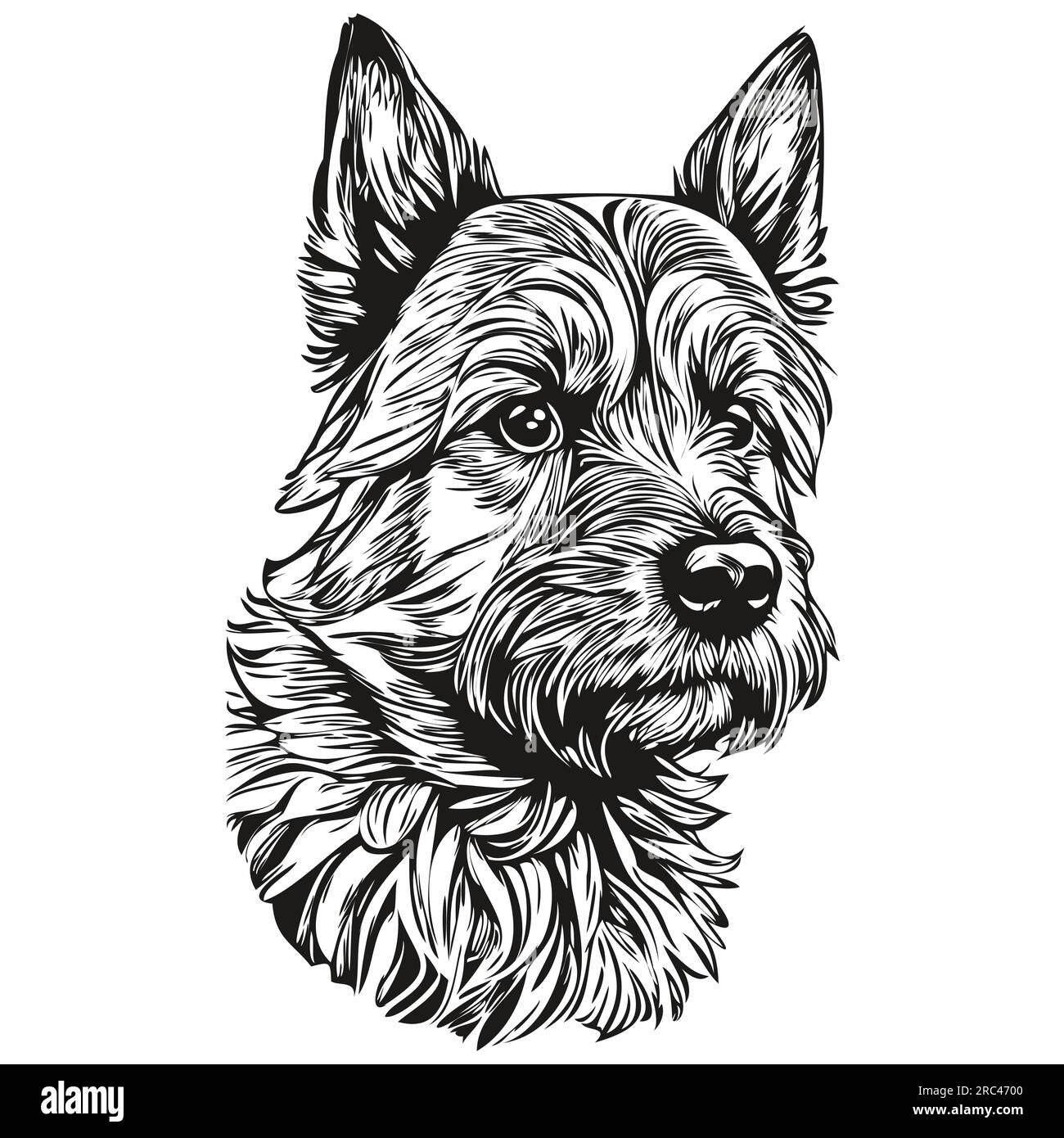 Border Terrier chien illustration réaliste pour animaux de compagnie, dessin à la main visage noir et blanc vecteur animal de race réaliste Illustration de Vecteur