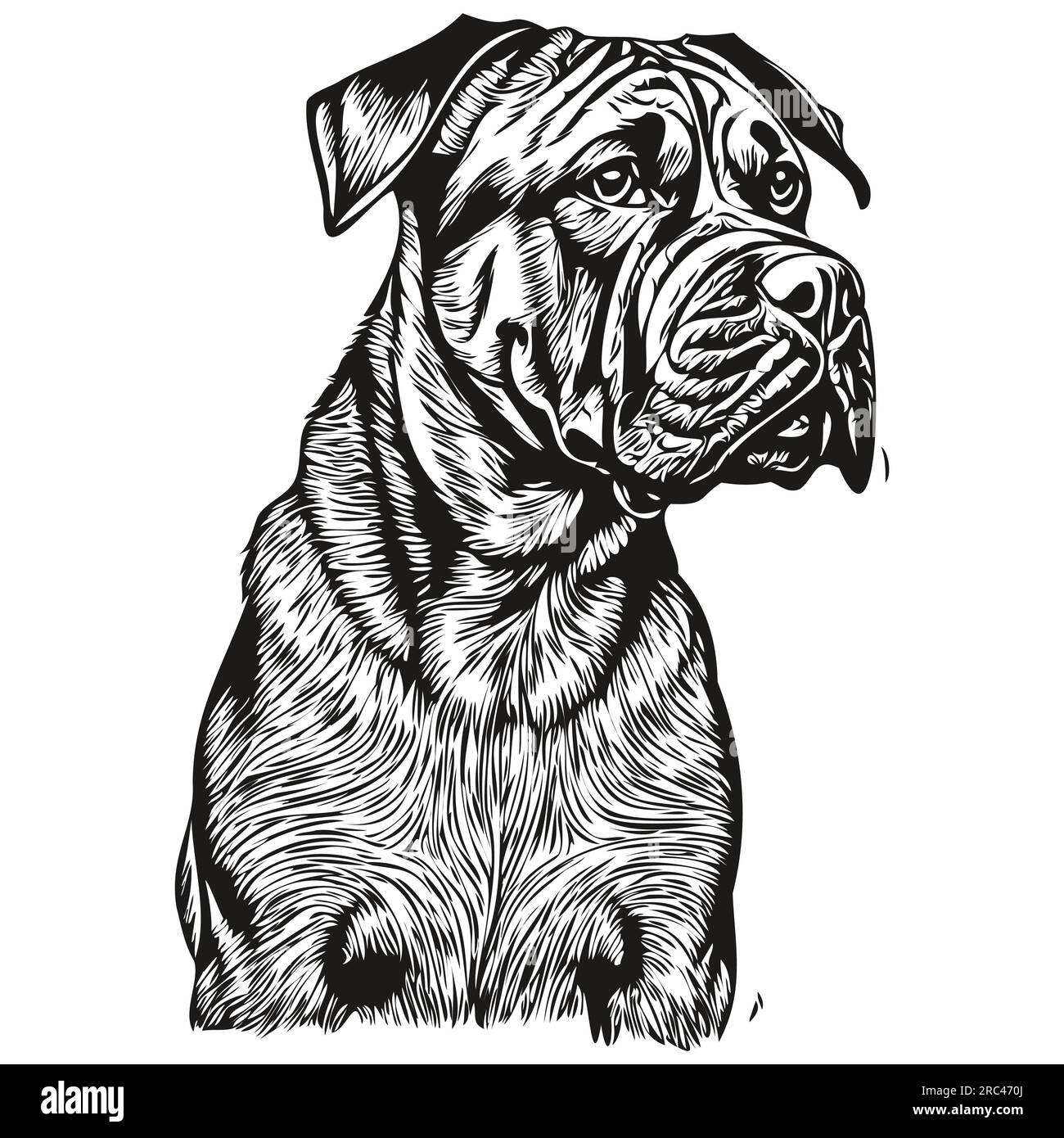 Silhouette d'animal de compagnie de chien Bullmastiff, illustration de ligne d'animal dessiné à la main en noir et blanc vecteur réaliste animal de compagnie Illustration de Vecteur