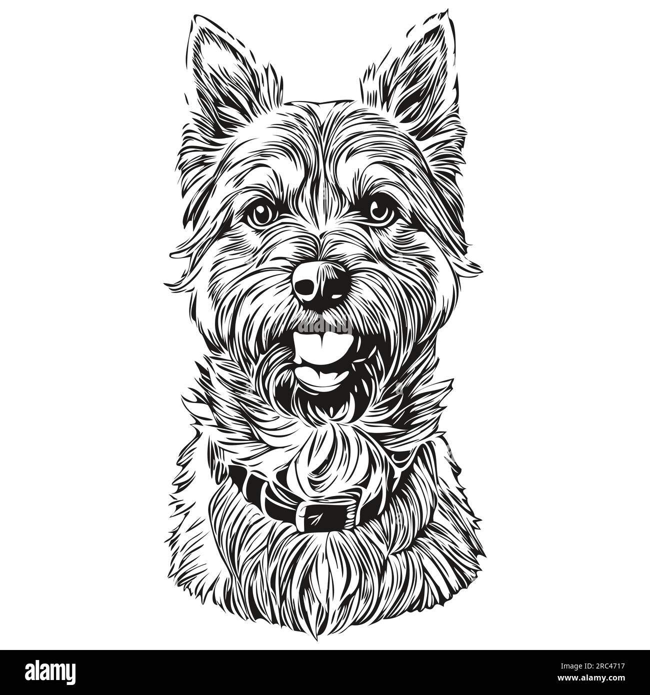Border Terrier chien dessin au crayon réaliste en vecteur, illustration au trait d'art de visage de chien noir et blanc animal de compagnie réaliste de race Illustration de Vecteur