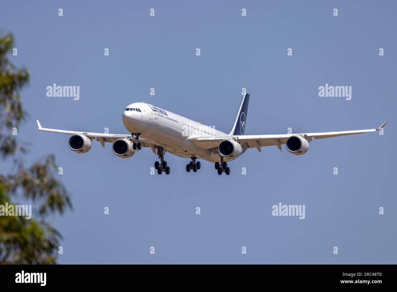Lufthansa Airbus A340-642 (REG : D-AIHF) arrivant pour maintenance après avoir été sorti du stockage. Banque D'Images