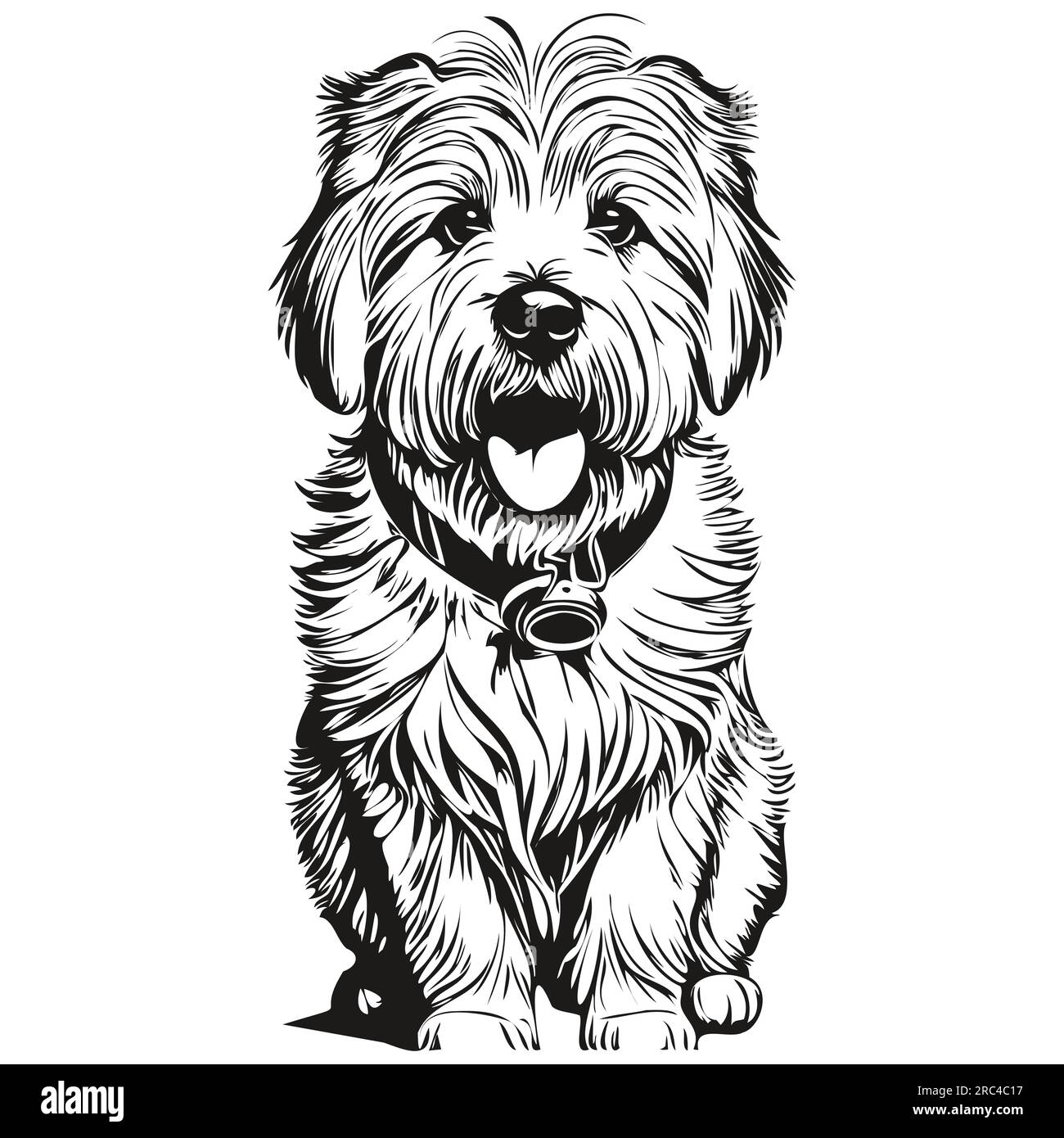 Coton de Tulear chien contour dessin au crayon illustration, caractère noir sur fond blanc prêt t-shirt imprimé Illustration de Vecteur