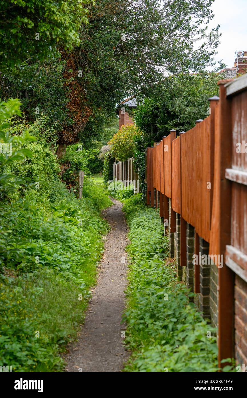Sentier partiellement envahi à côté des maisons avec une clôture en bois d'un côté. Banque D'Images