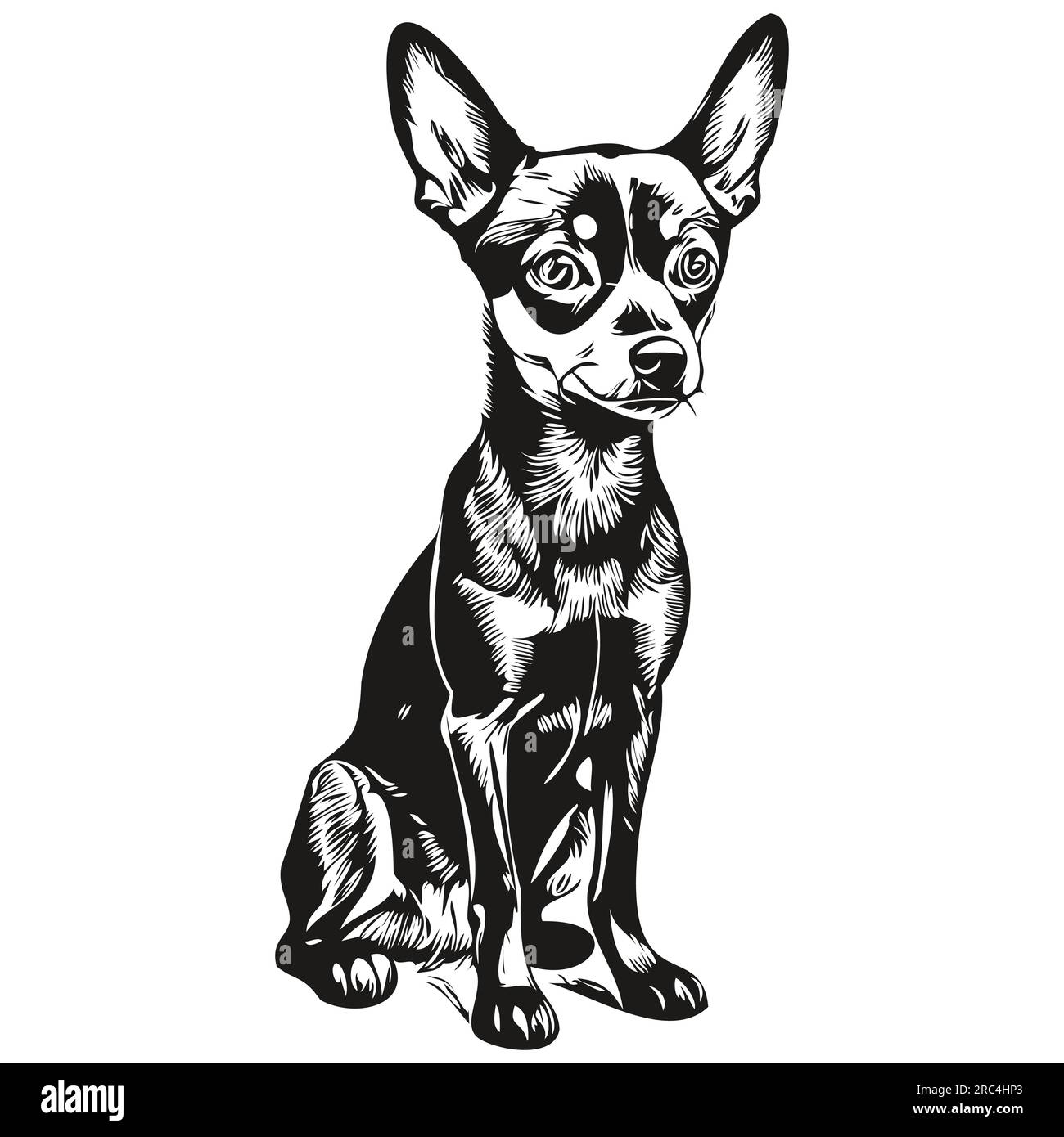 Dessin au trait miniature de race de chien Pinscher, clip art animal dessin à la main vecteur noir et blanc Illustration de Vecteur