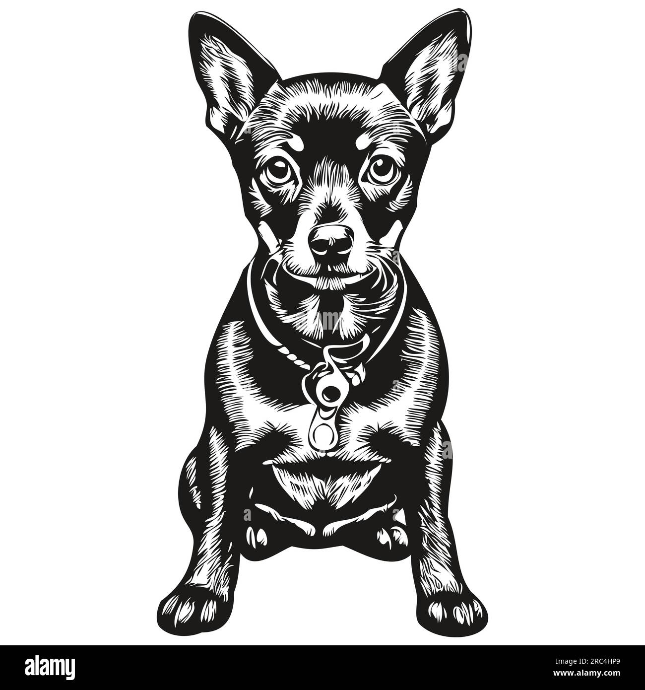 Dessin au trait miniature de race de chien Pinscher, dessin à la main animal clip art dessin à la main vecteur noir et blanc Illustration de Vecteur