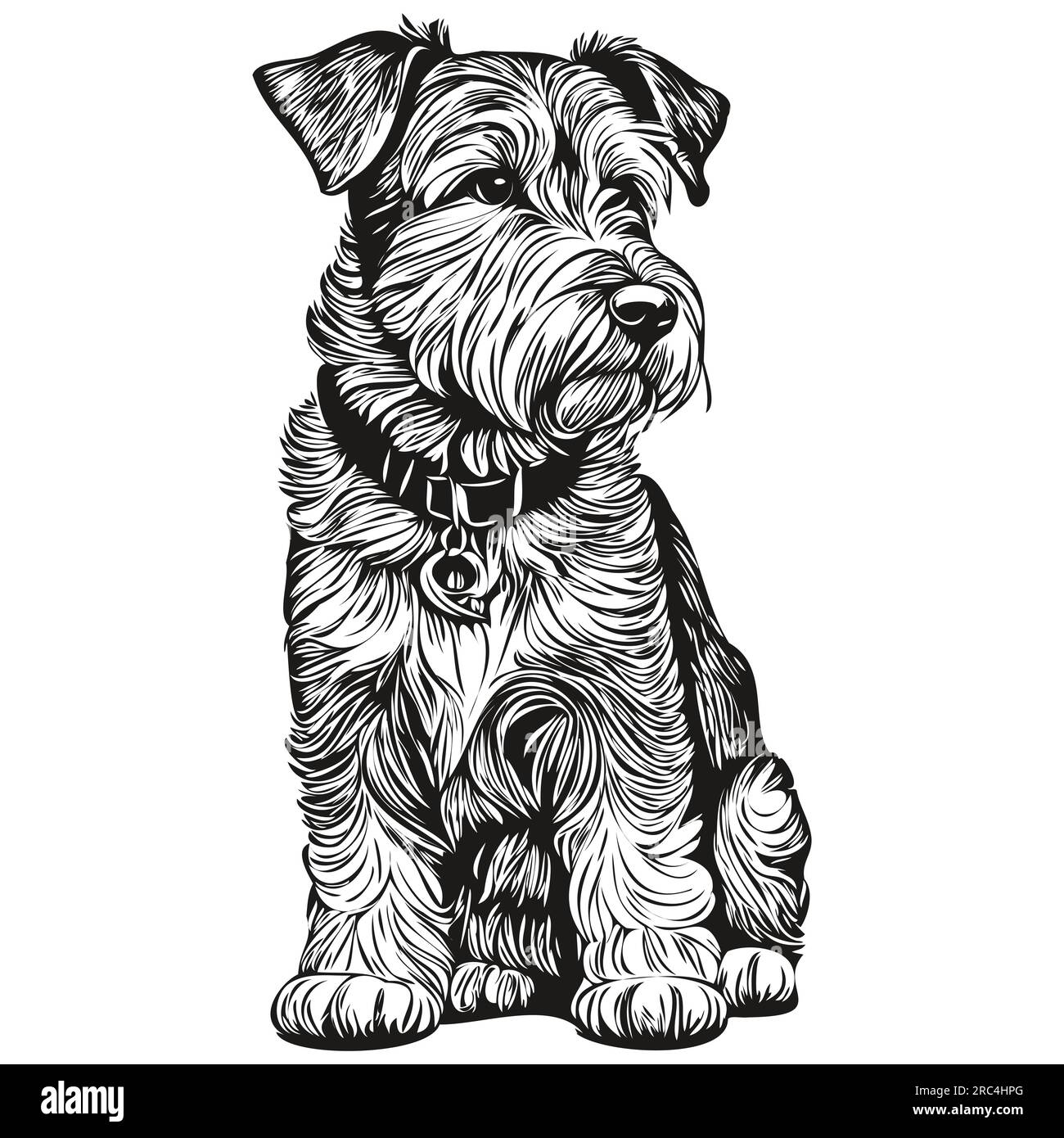 Dessin d'esquisse à l'encre de chien Lakeland Terrier, tatouage vintage ou t-shirt imprimé en noir et blanc vecteur réaliste animal de compagnie Illustration de Vecteur