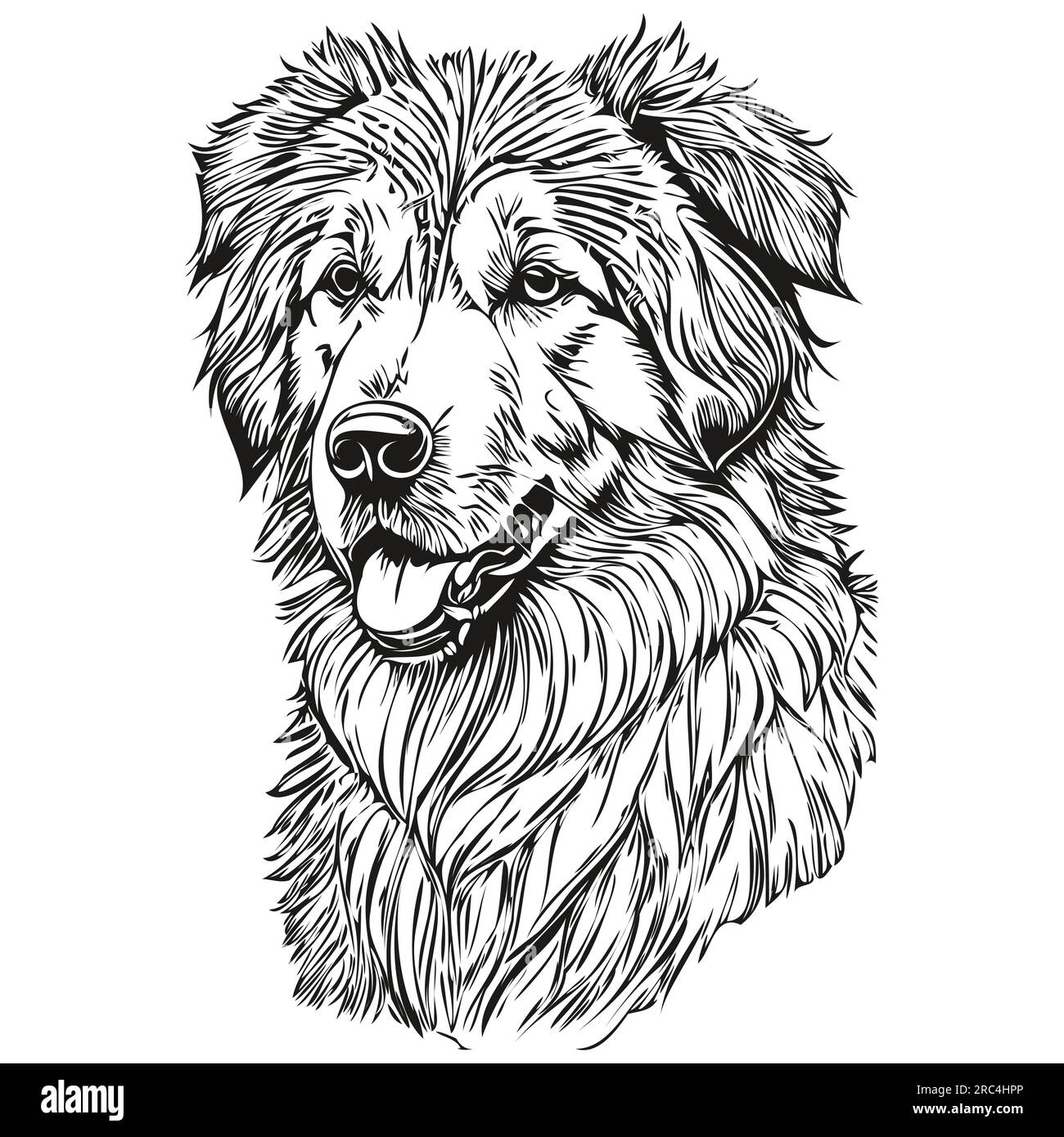 Kuvaszok chien t shirt imprimé noir et blanc, mignon vecteur de dessin de contour drôle Illustration de Vecteur