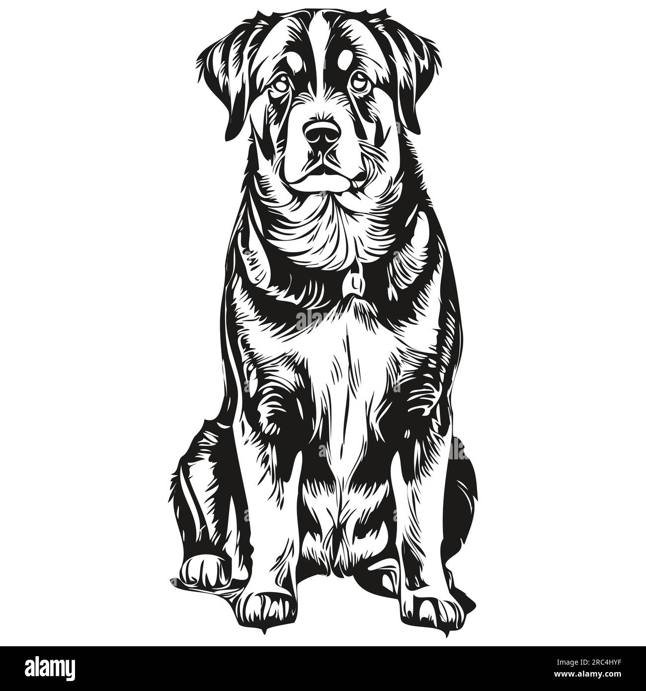 Entlebucher illustration de ligne de chien de montagne, portrait de visage de croquis d'encre noir et blanc dans le vecteur Illustration de Vecteur