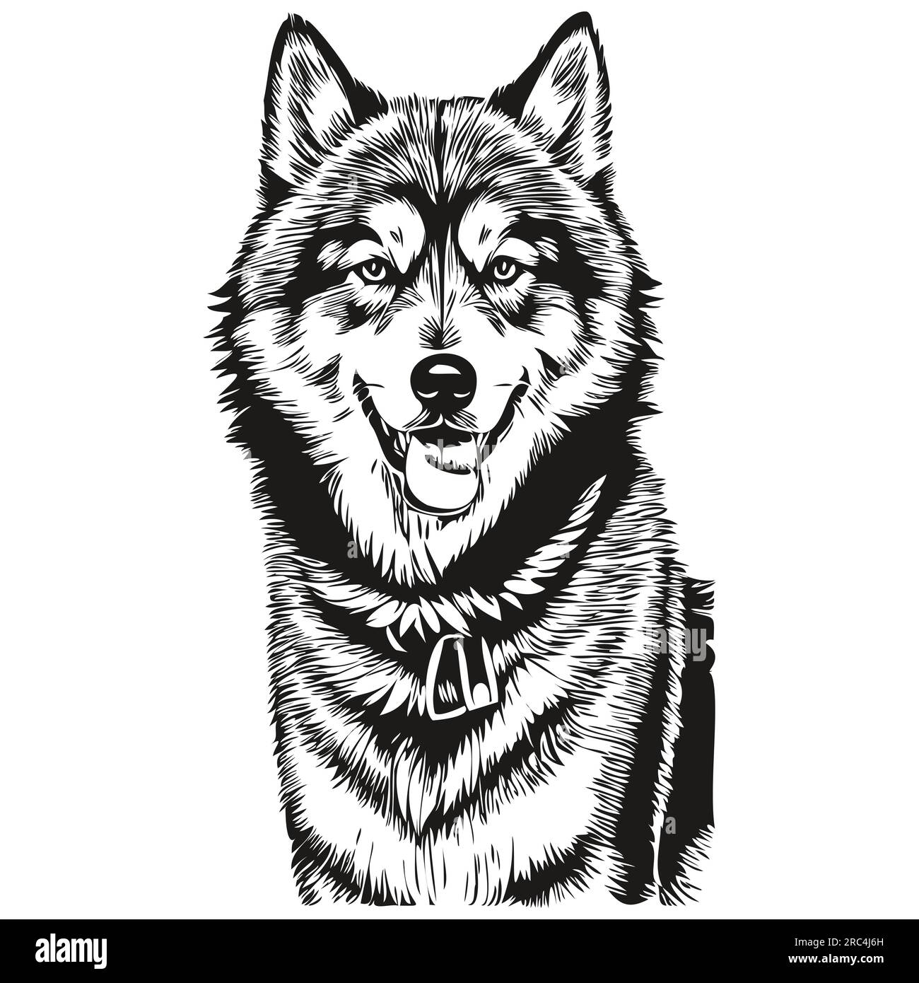 Portrait de chien Malamute en vecteur, dessin à la main animal pour illustration d'impression de tatouage ou de tshirt Illustration de Vecteur