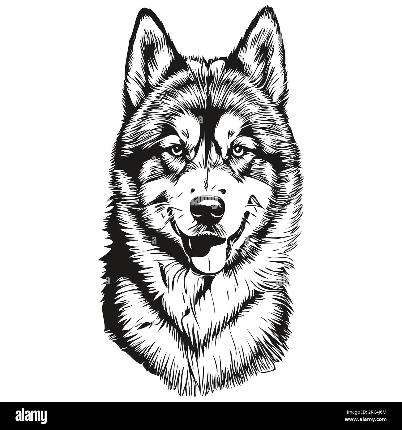 Dessin au trait de race de chien Malamute, clip art animal dessin à la main vecteur noir et blanc Illustration de Vecteur