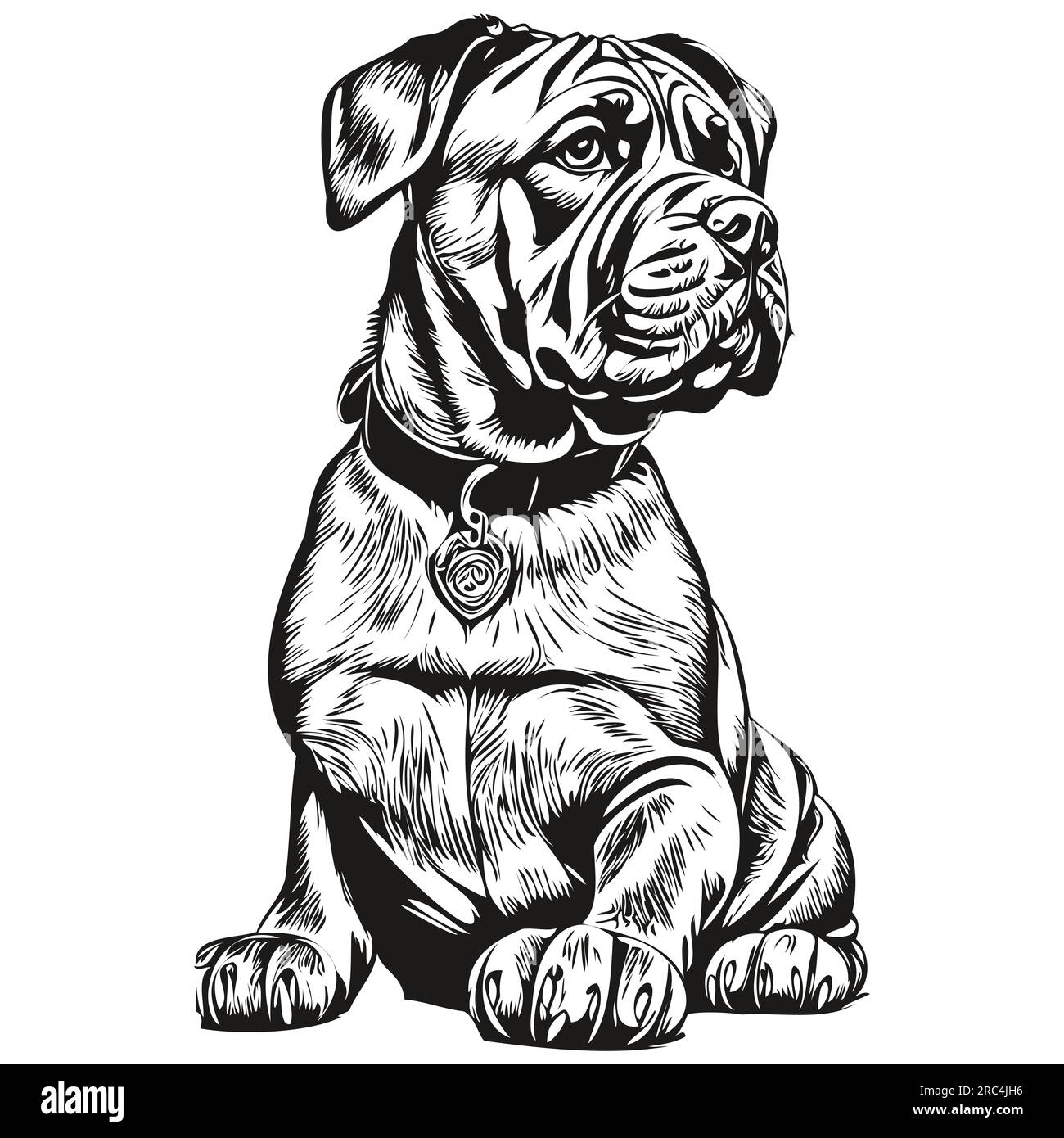 Illustration de ligne de chien de Mastiff napolitain, portrait de visage de croquis à l'encre noire et blanche en vecteur réaliste animal de compagnie de race Illustration de Vecteur