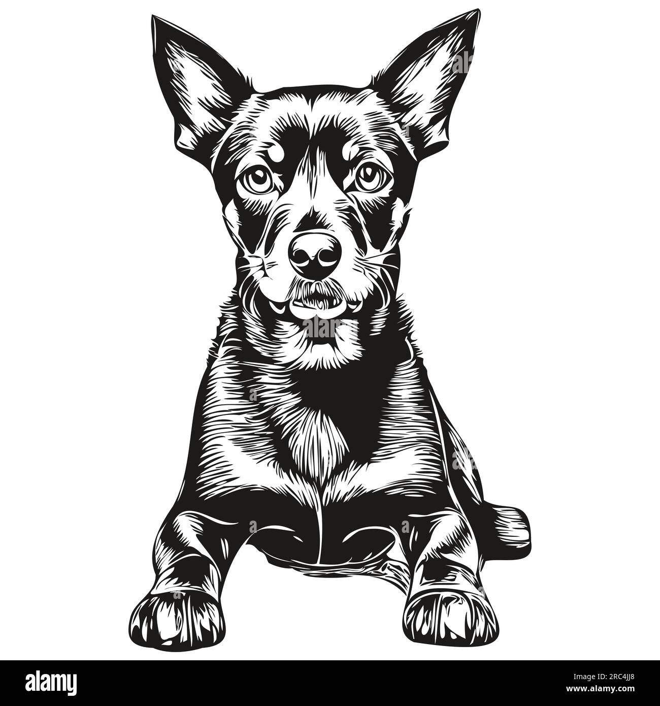 Manchester Terrier illustration de ligne de chien, portrait de visage de croquis d'encre noir et blanc en vecteur Illustration de Vecteur