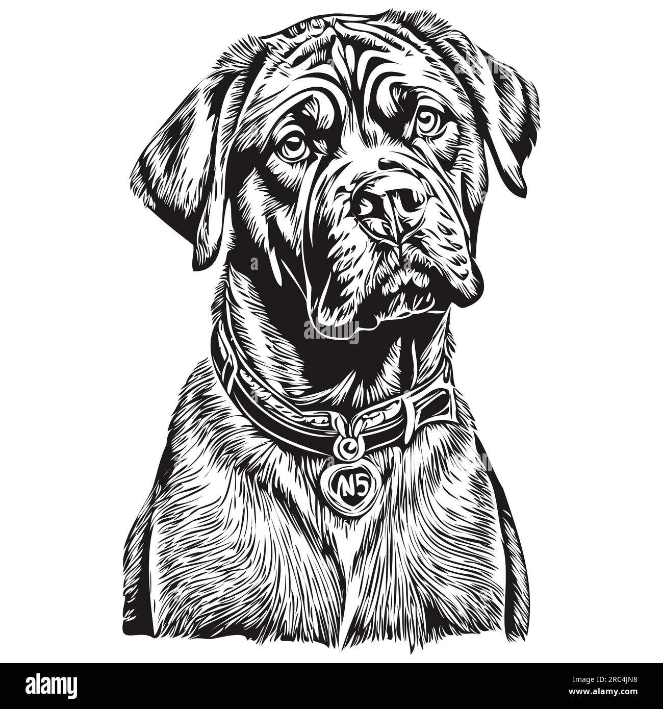 Illustration de ligne de chien de Mastiff napolitain, portrait de visage de croquis d'encre noire et blanche en vecteur Illustration de Vecteur