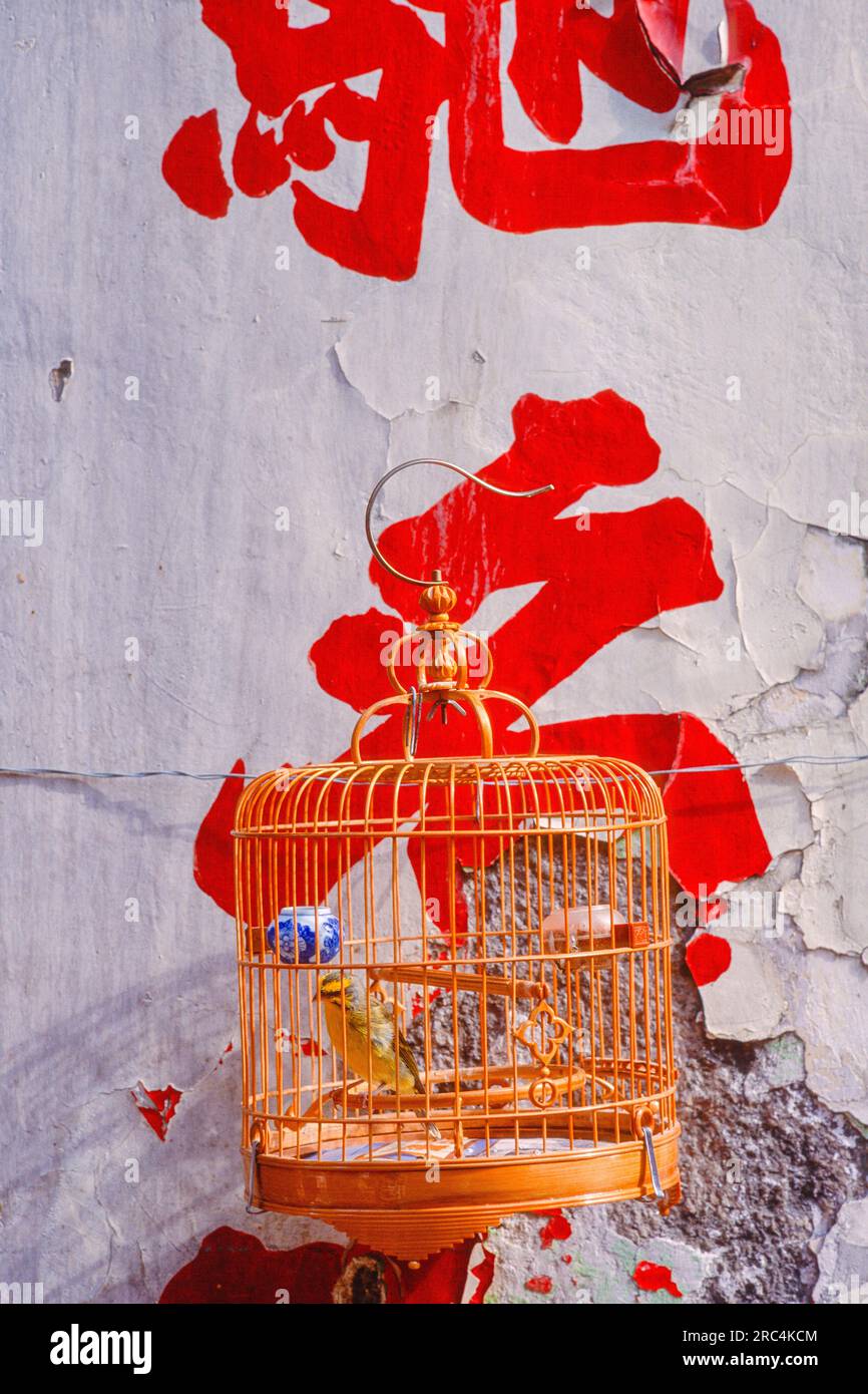 Oiseau dans une cage à Kowloon, Hong Kong, région administrative spéciale de Hong Kong de la République populaire de Chine Banque D'Images