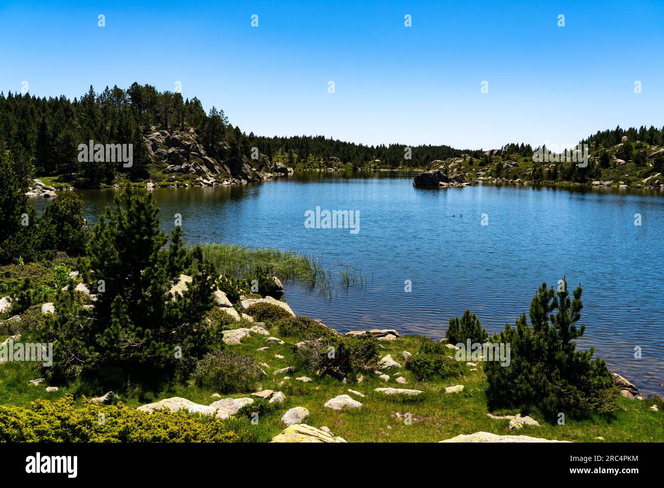 Lac sec, Estany sec, près du Lac des Bouillouses, Pyrénées Orientales, France Banque D'Images