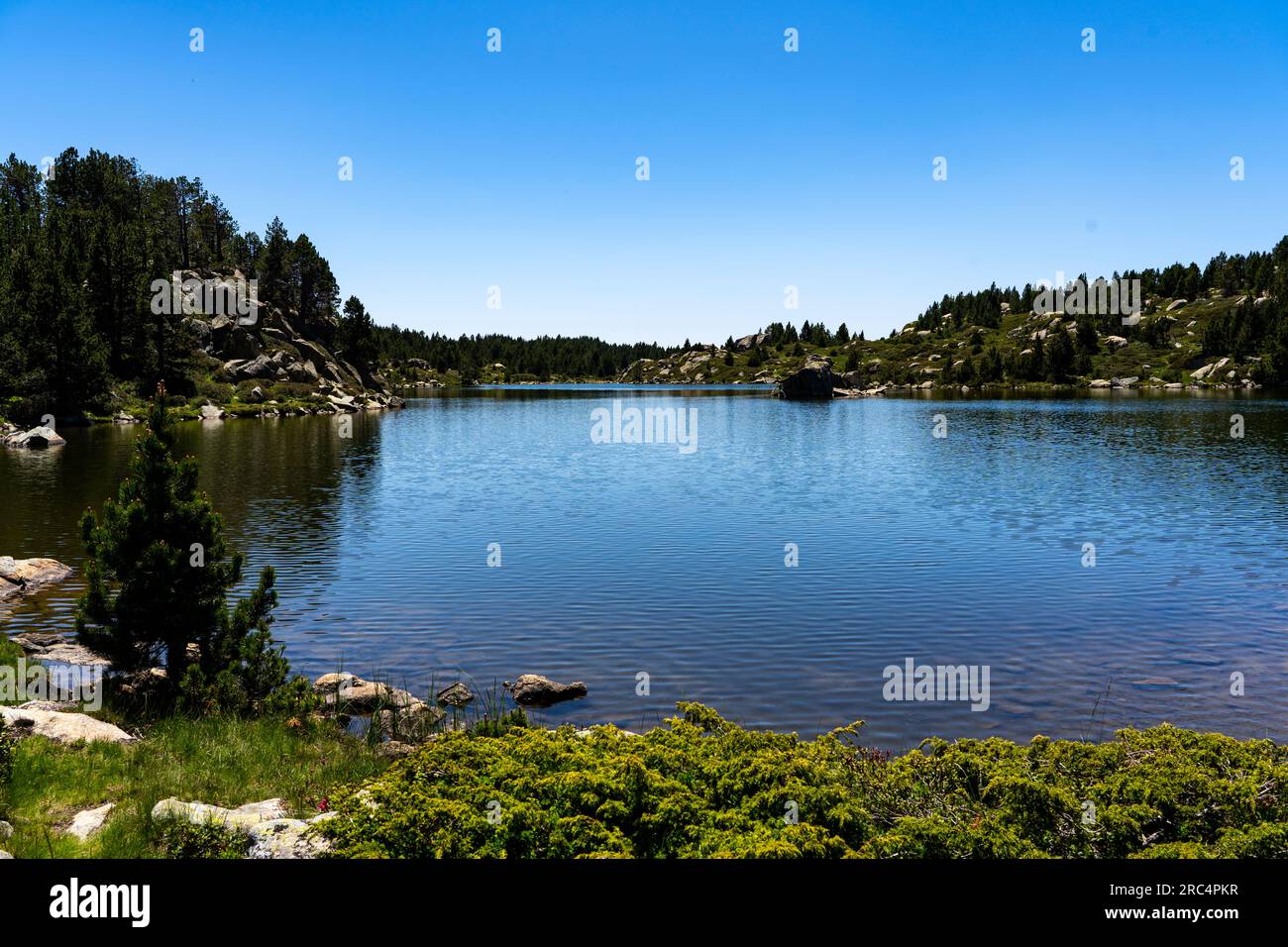 Lac sec, Estany sec, près du Lac des Bouillouses, Pyrénées Orientales, France Banque D'Images