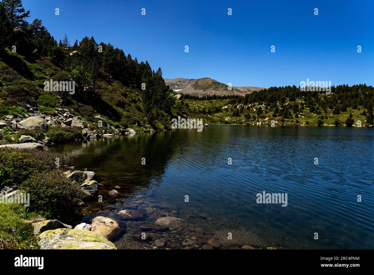Lac Negre, Estany Negre, près du Lac des Bouillouses, Pyrénées Orientales, France Banque D'Images
