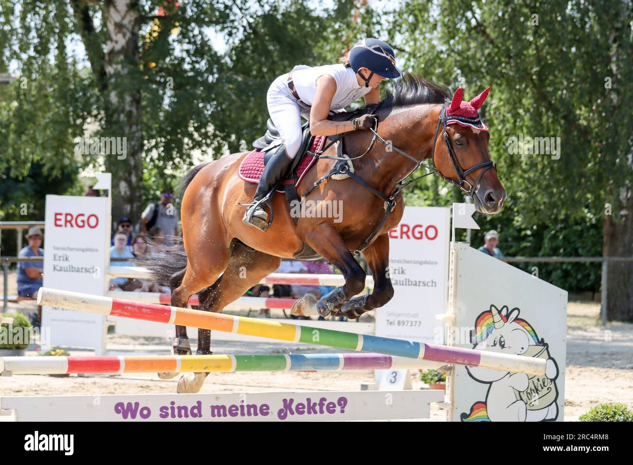 concours de saut d'obstacles en allemagne Banque D'Images