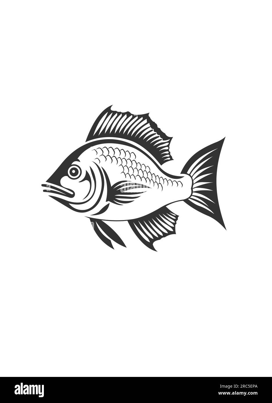Illustration vectorielle de poisson sur fond blanc Illustration de Vecteur