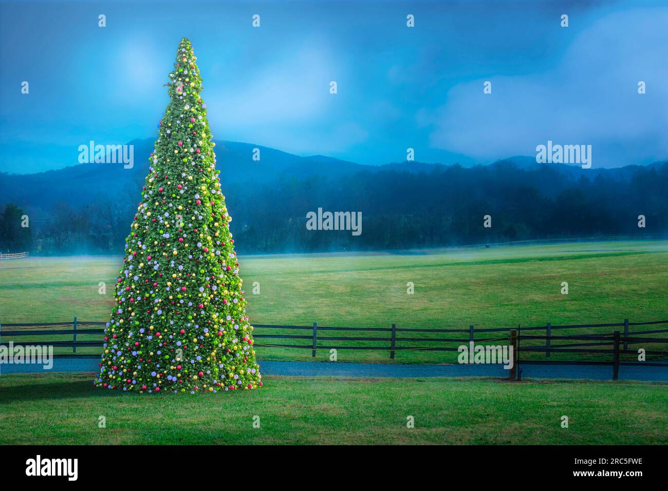 Plan horizontal d'un arbre de Noël extérieur contre quelques montagnes avec espace de copie. Banque D'Images