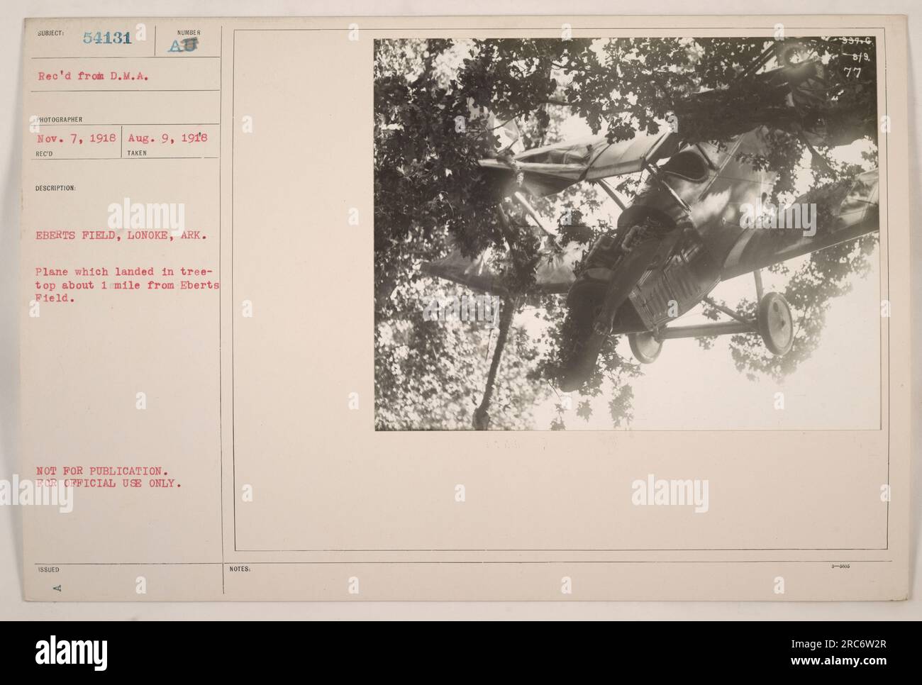 Un avion qui a fait un atterrissage d'urgence dans une cime d'arbre, à environ un mile d'Eberts Field à Lonoke, Arkansas. Cette photographie a été prise le 9 août 1918 et reçue de D.M.A. Photographe 54131. L'image n'était pas destinée à la publication et à un usage officiel seulement. Note mentionnée le 2 août 1977. Banque D'Images