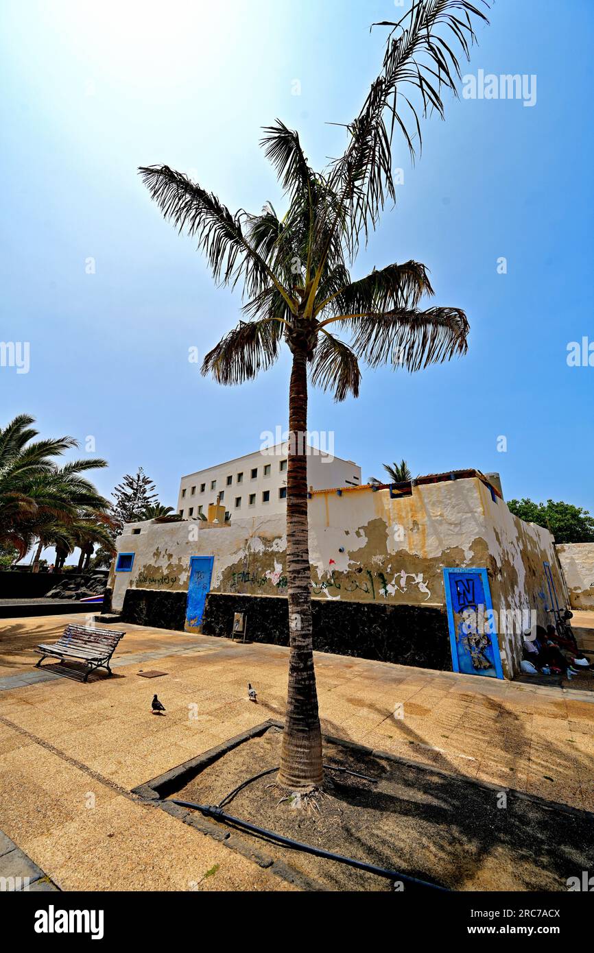 Lanzarote Îles Canaries Arrecife centre derrière l'eau Charco de San Gines avec maison avec portes bleues seul palmier et ciel bleu et soleil éclatant Banque D'Images